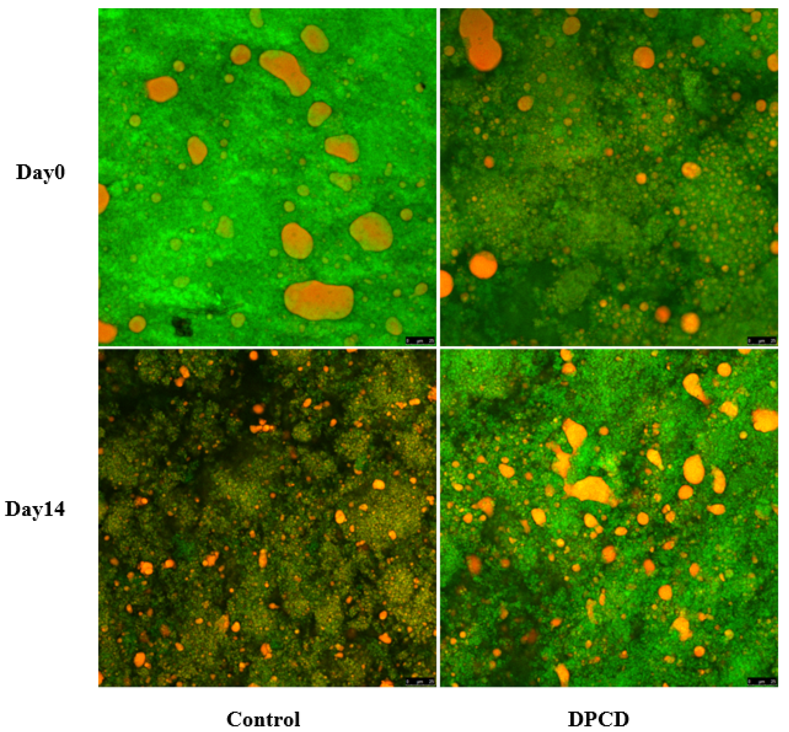 Foods 11 02340 g001 550