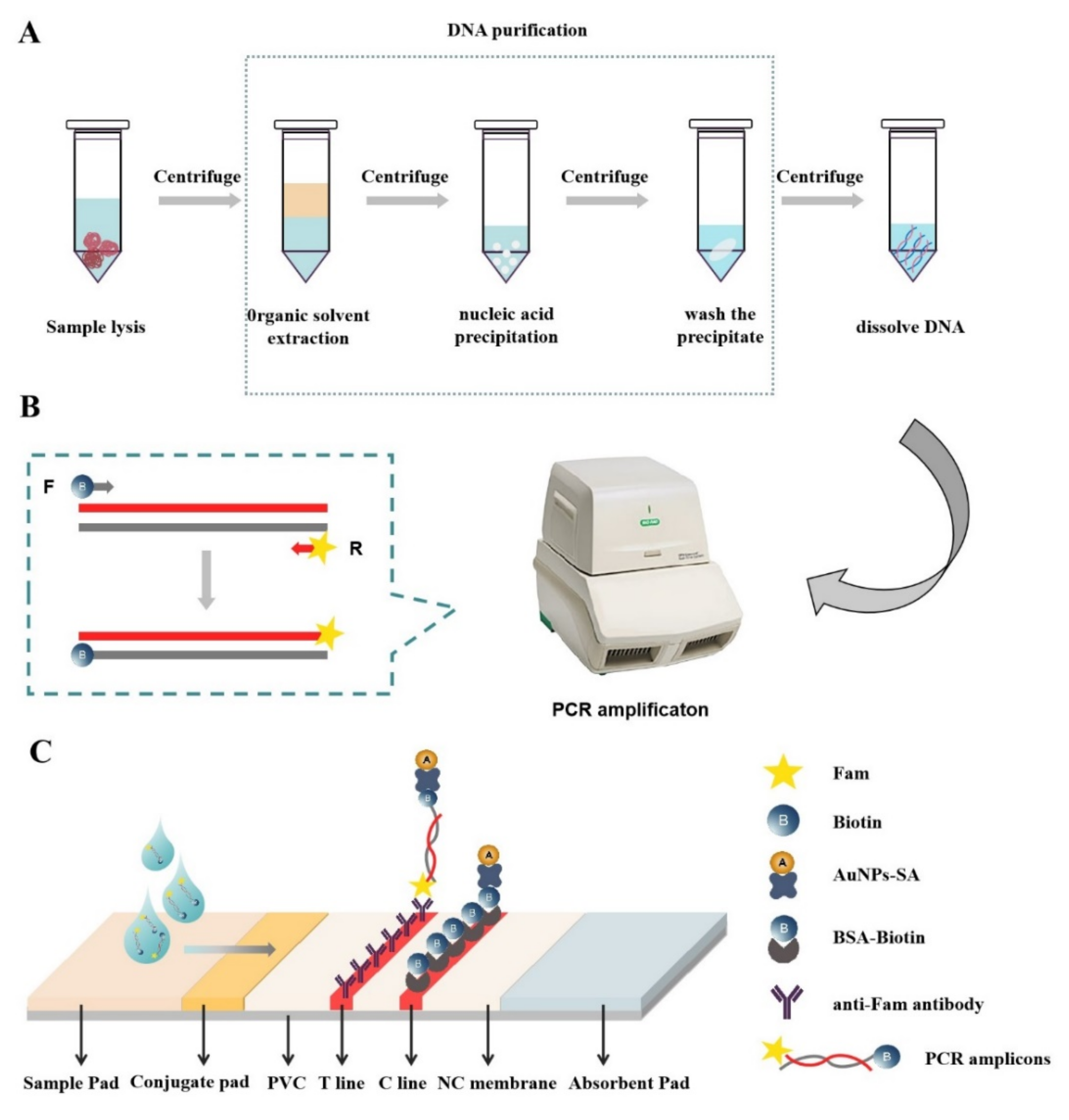 Foods Free FullText Visual Detection of Chicken Adulteration Based