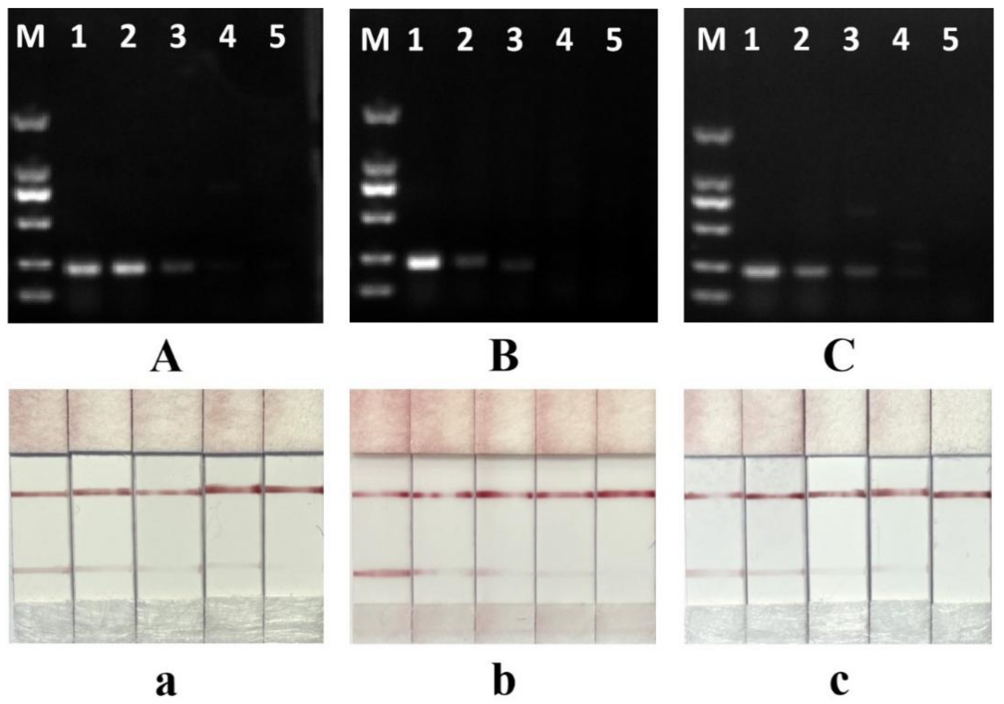 Foods 11 02351 g006 550