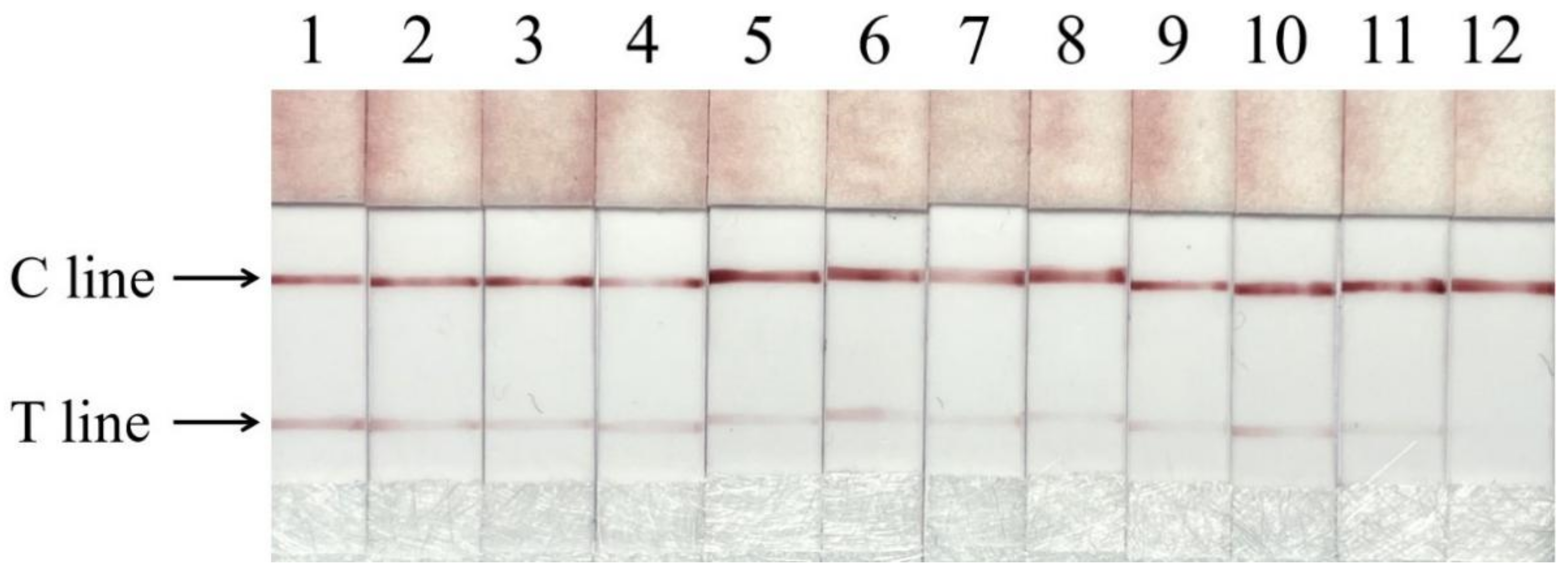 Foods 11 02351 g007 550