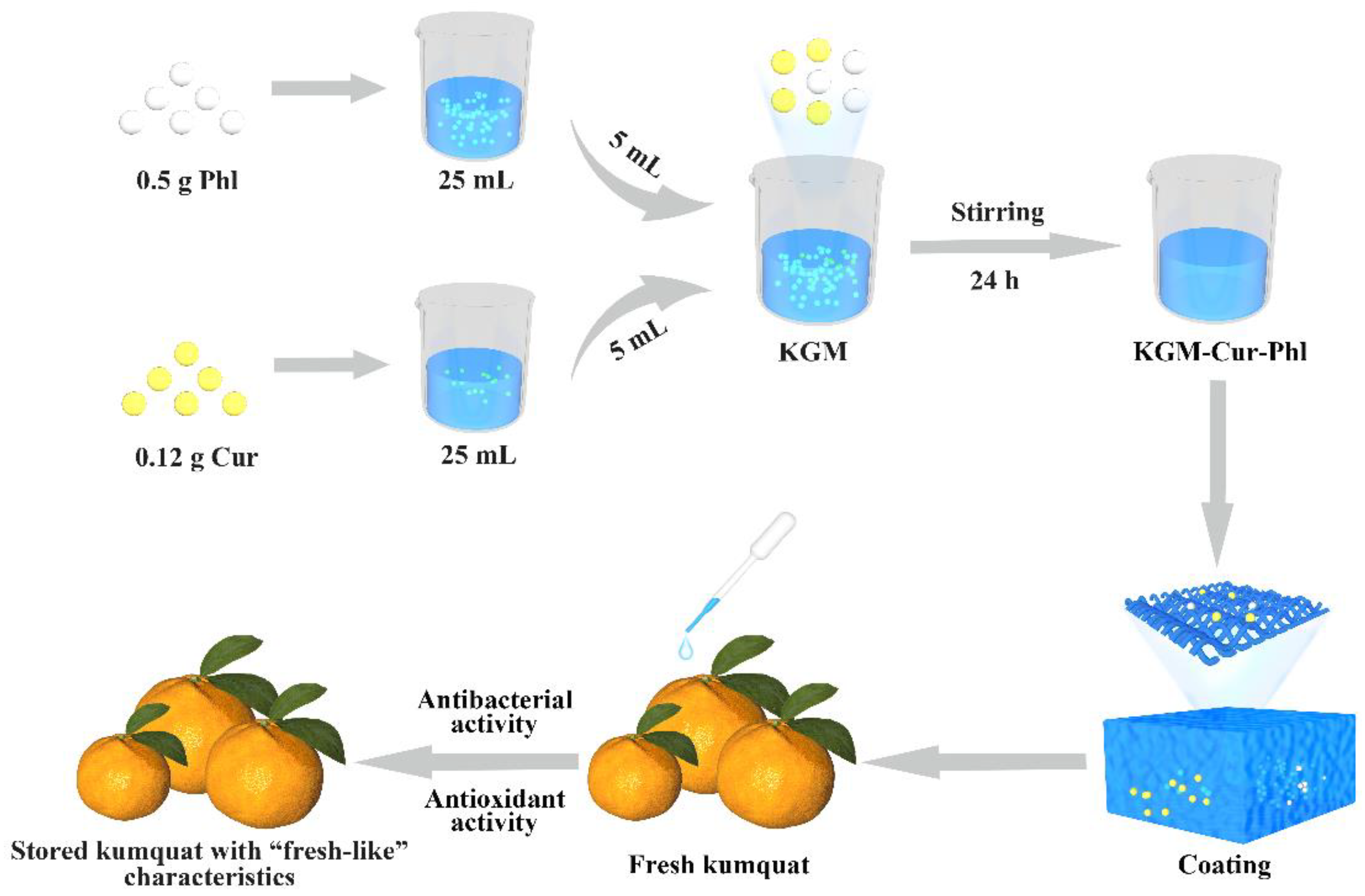 Foods 11 02363 g001 550