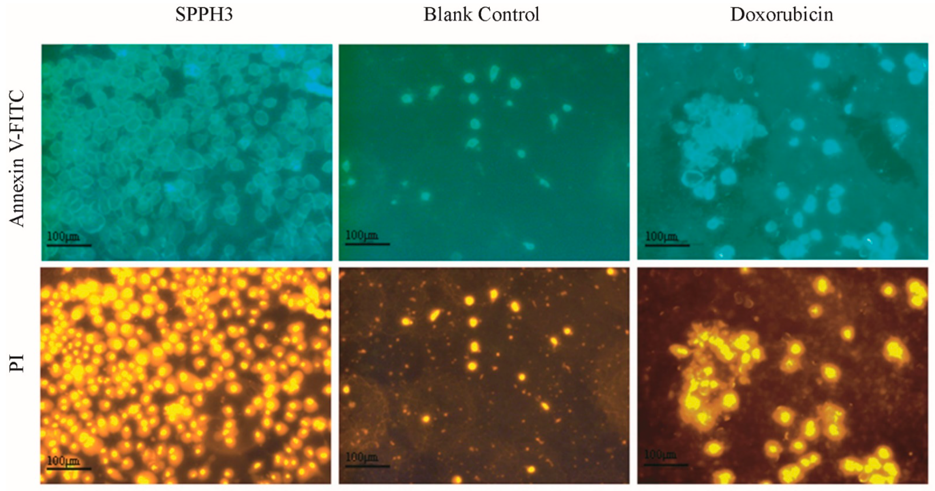 Foods 11 02367 g004 Foods 11 02367 g004