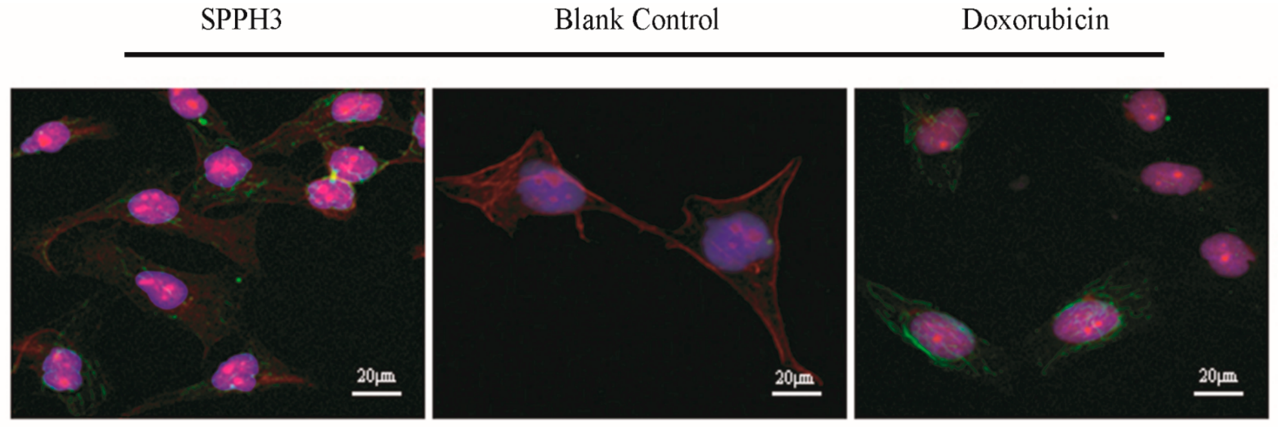 Foods 11 02367 g005 Foods 11 02367 g005