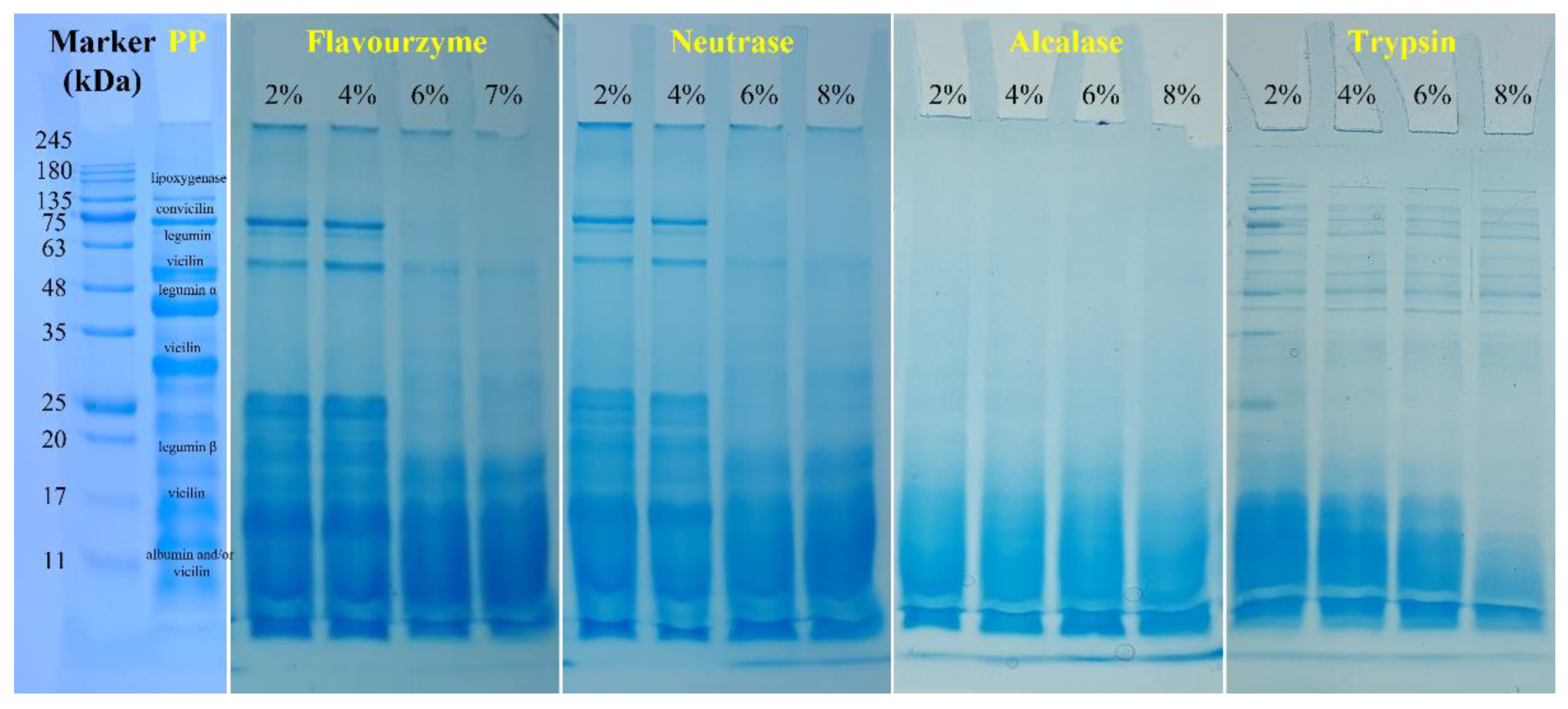 Foods 11 02368 g005 550