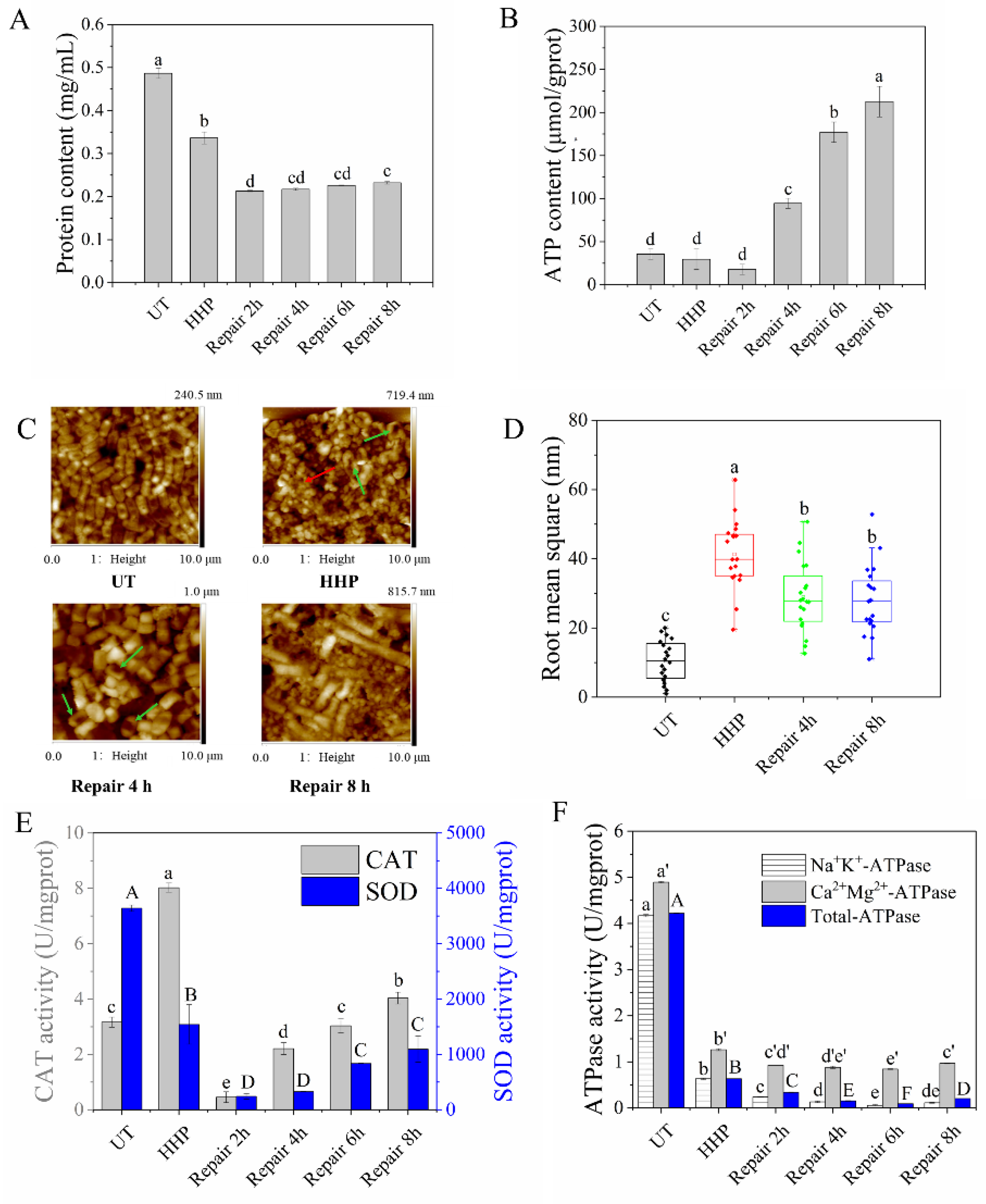 Foods 11 02377 g002 Foods 11 02377 g002