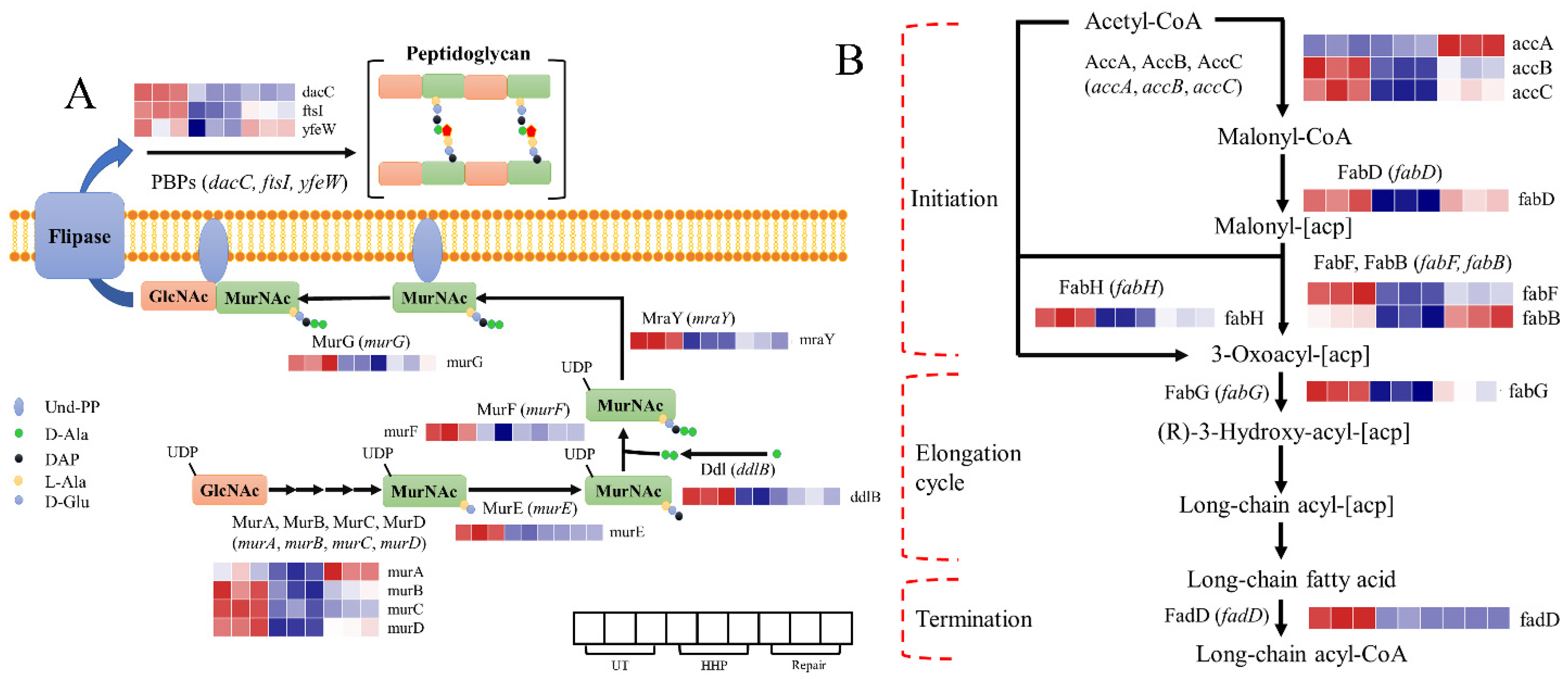 Foods 11 02377 g005 Foods 11 02377 g005