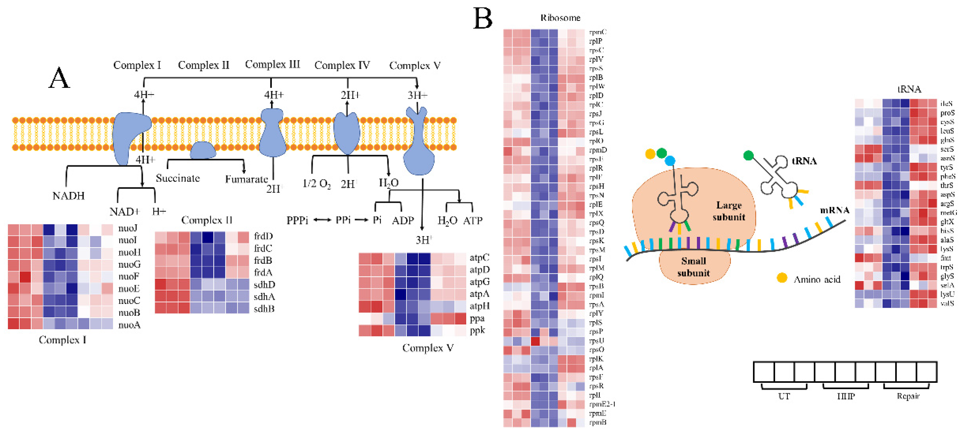 Foods 11 02377 g006 Foods 11 02377 g006