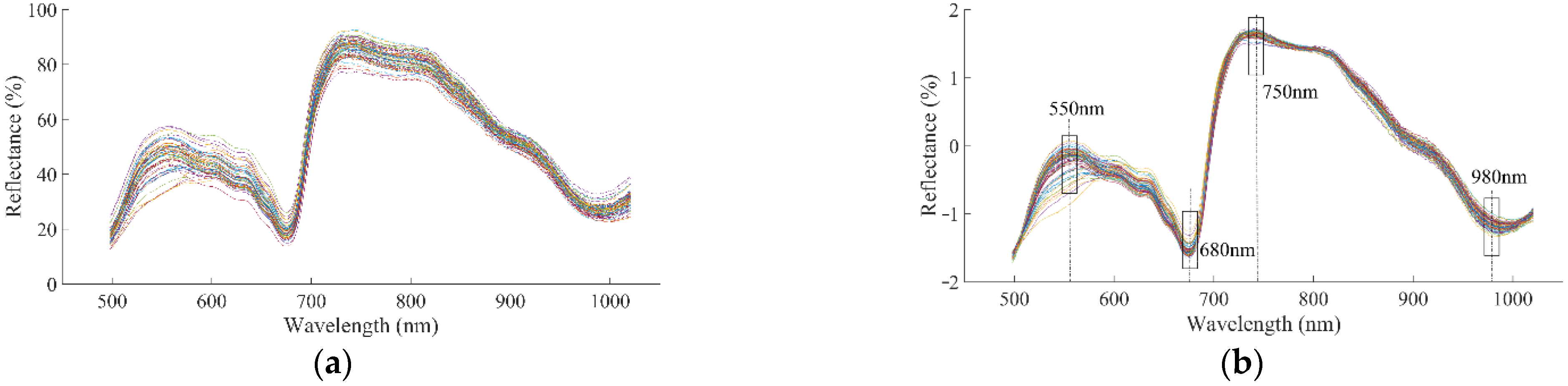 Foods 11 02391 g002 550