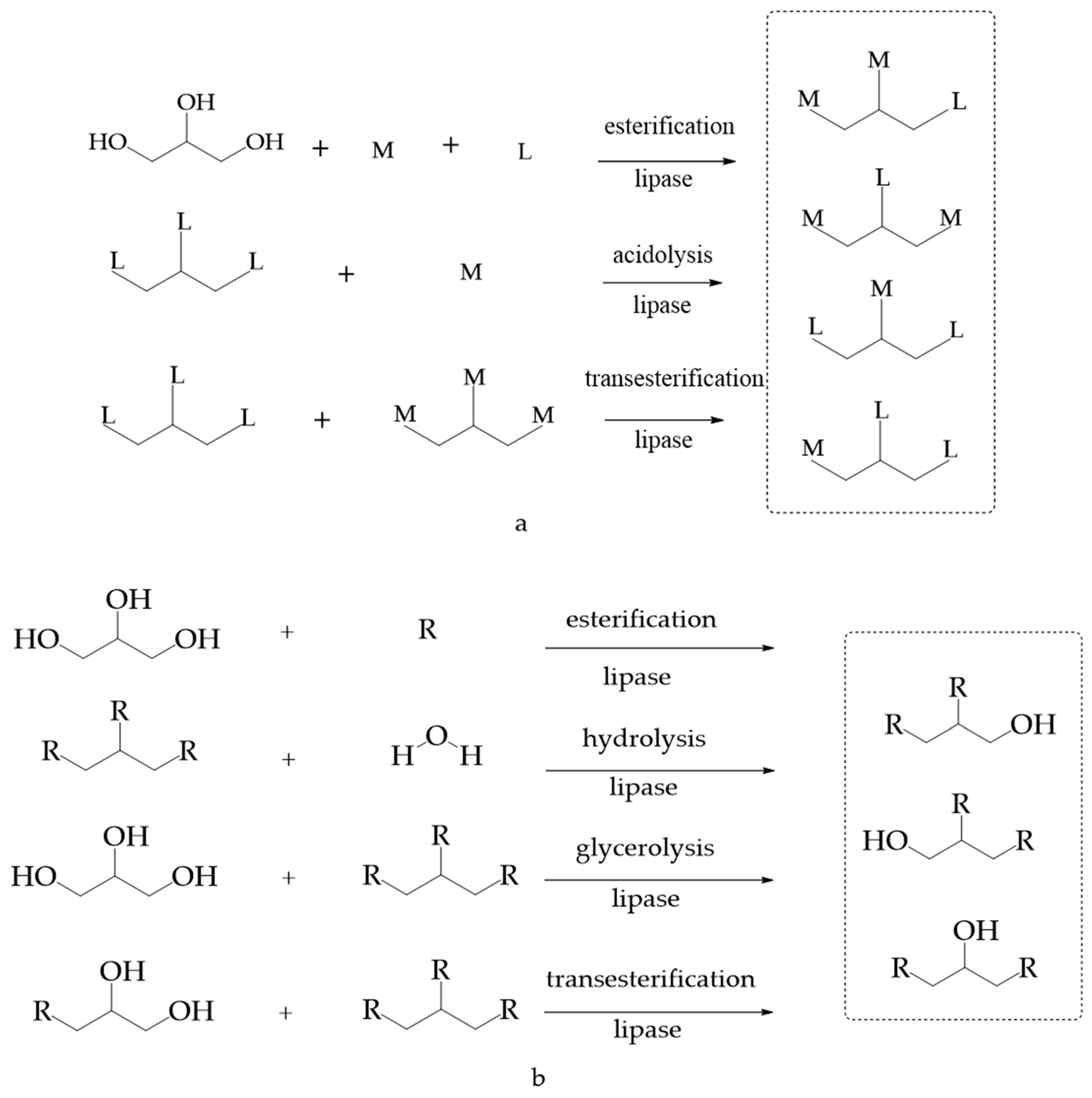 Foods 11 02400 g003a Foods 11 02400 g003a