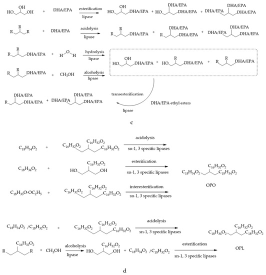 Future of Structured Lipids: Enzymatic Synthesis and Their Future of Structured Lipids: Enzymatic Synthesis and Their