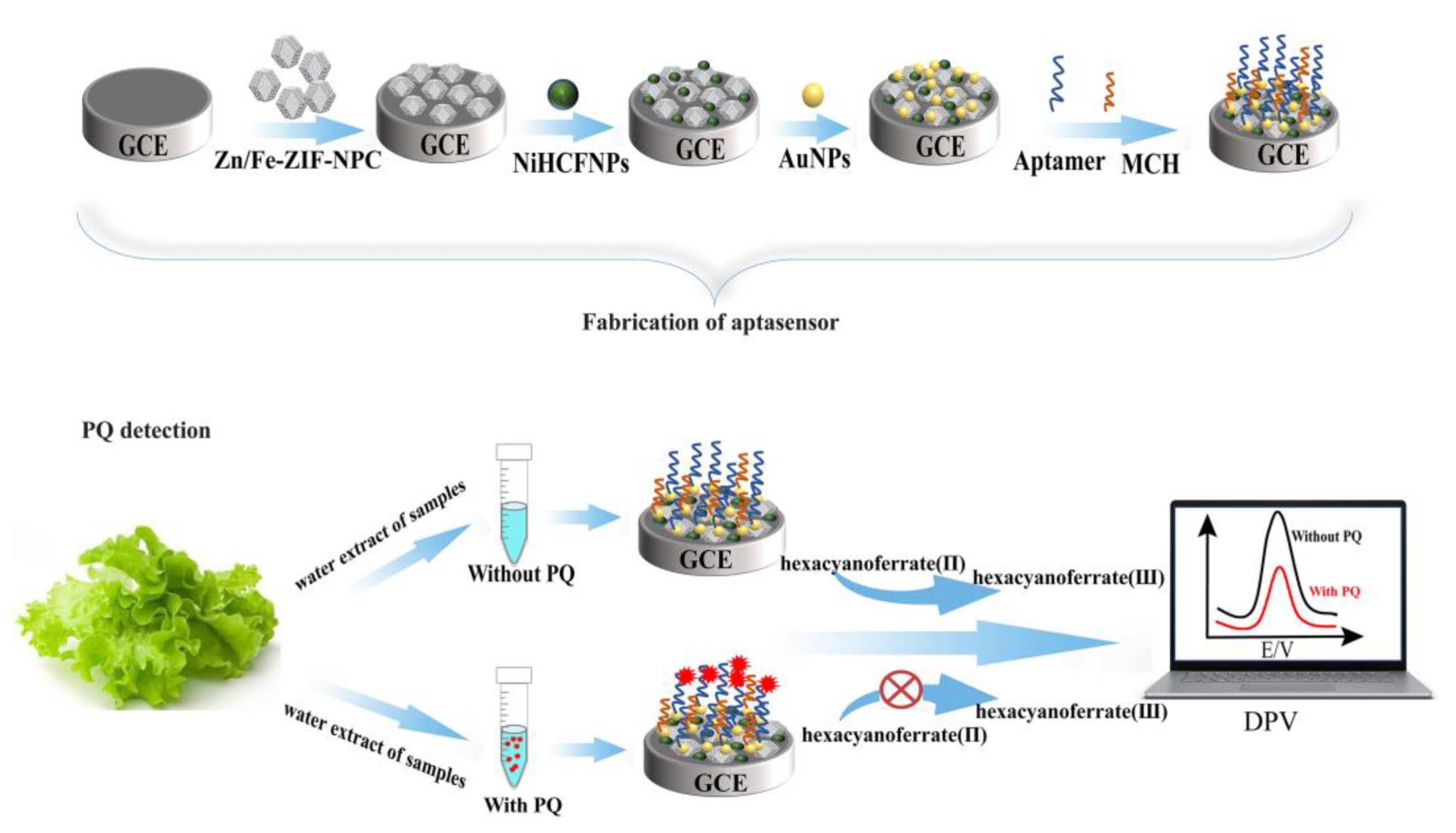 Foods 11 02405 sch001