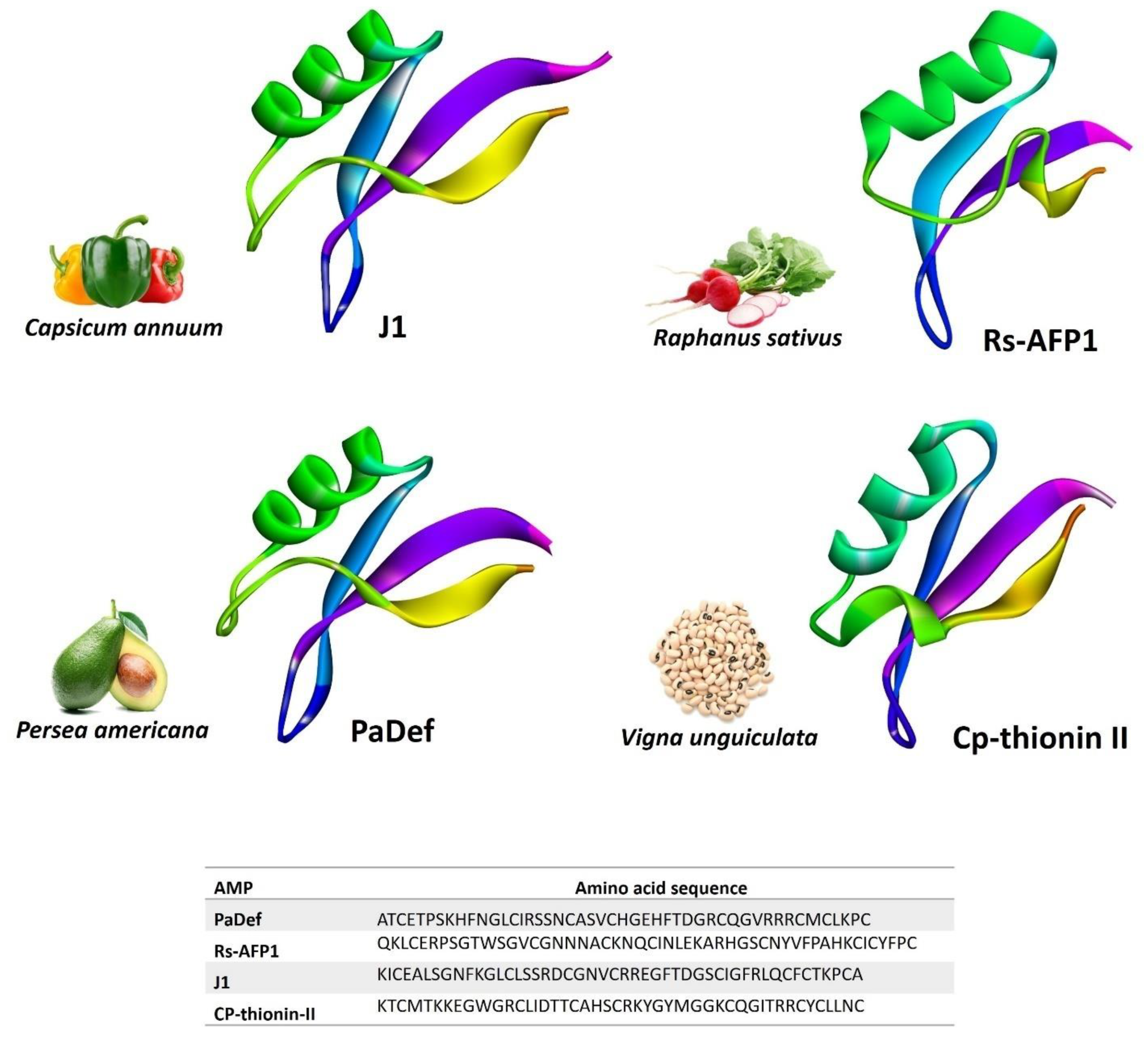 Foods 11 02415 g001 Foods 11 02415 g001