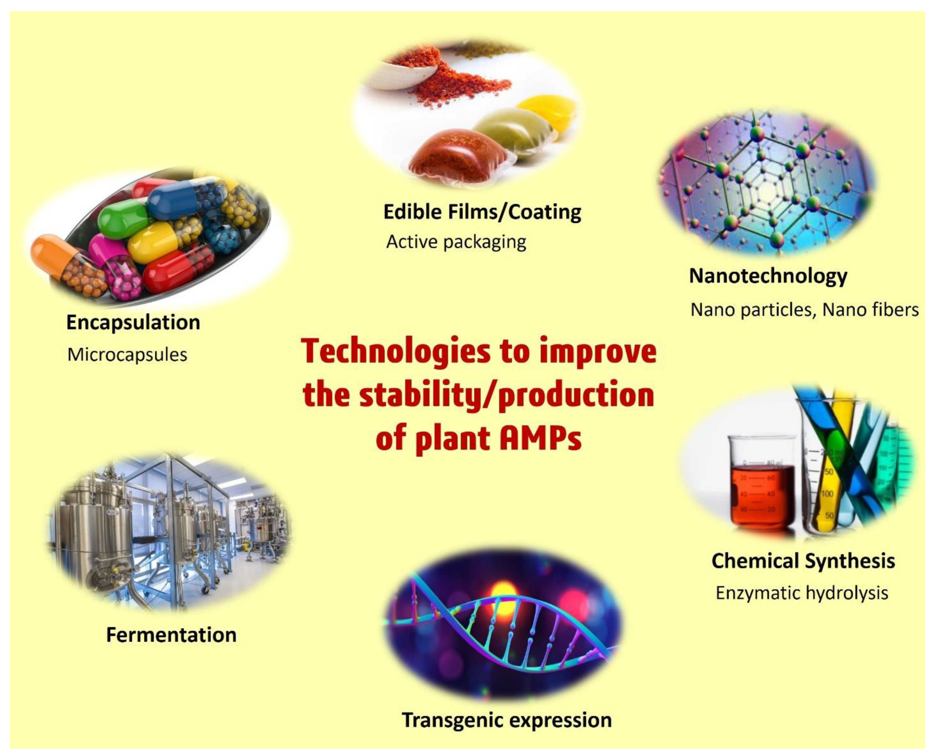 Foods 11 02415 g006 Foods 11 02415 g006