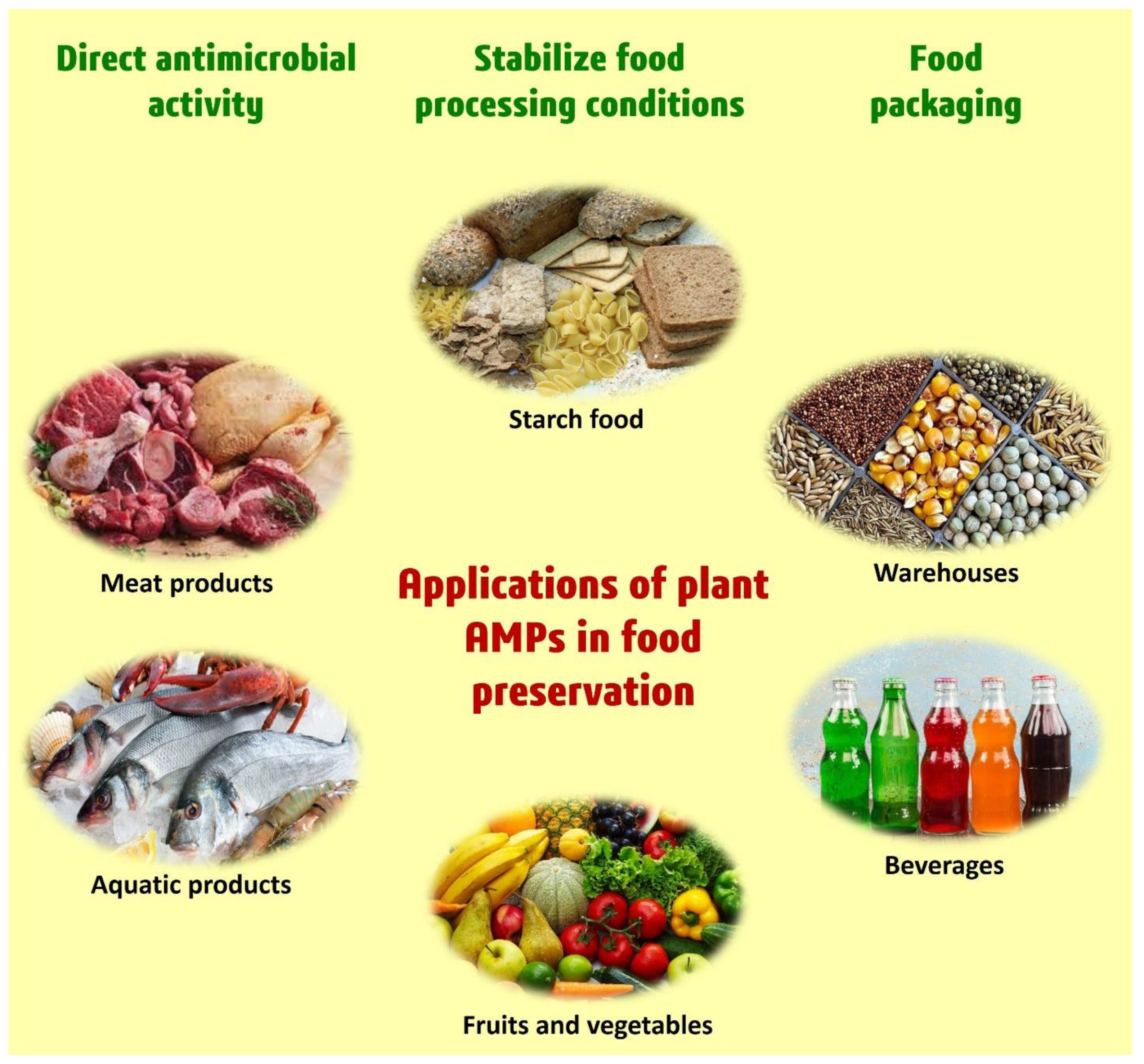 Foods 11 02415 g007 Foods 11 02415 g007