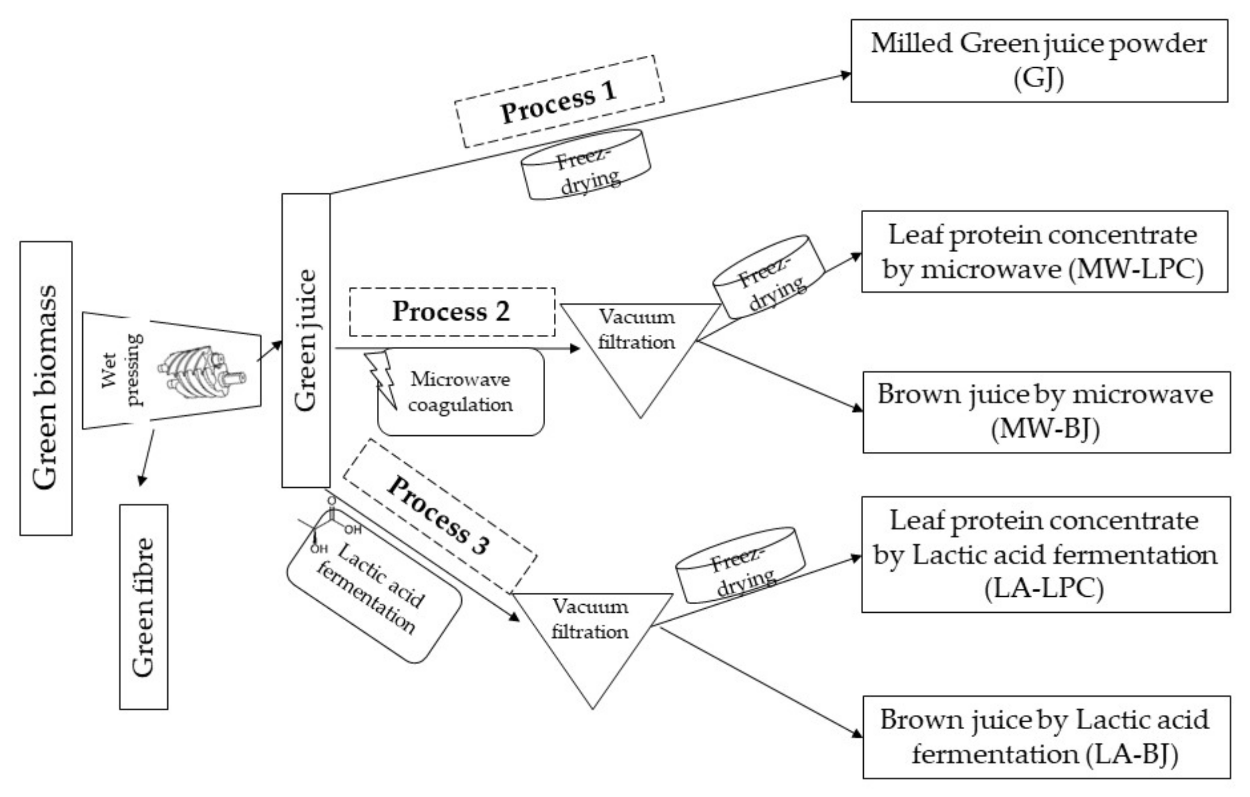 Foods 11 02418 g001 550