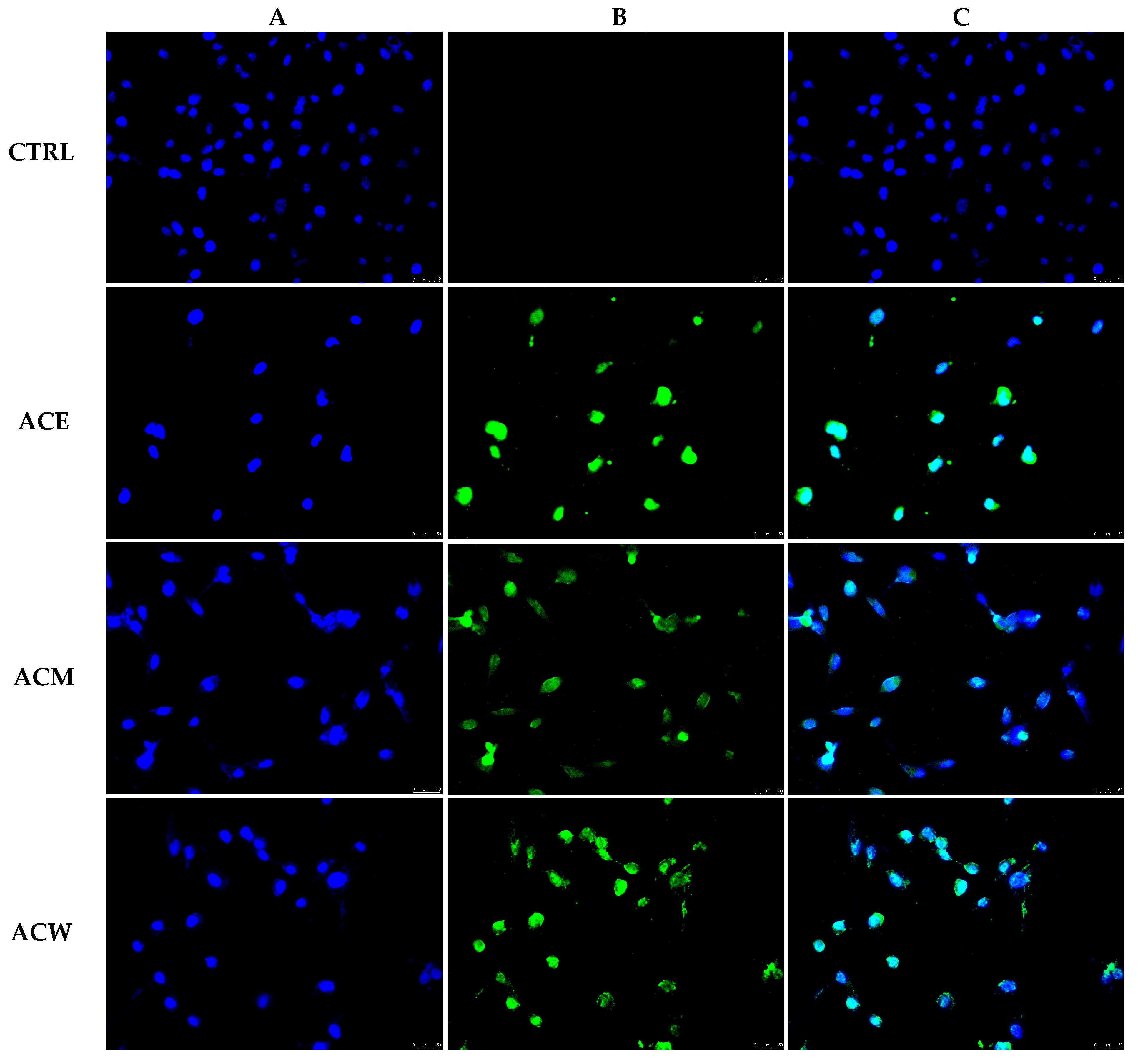 Foods 11 02420 g003 550