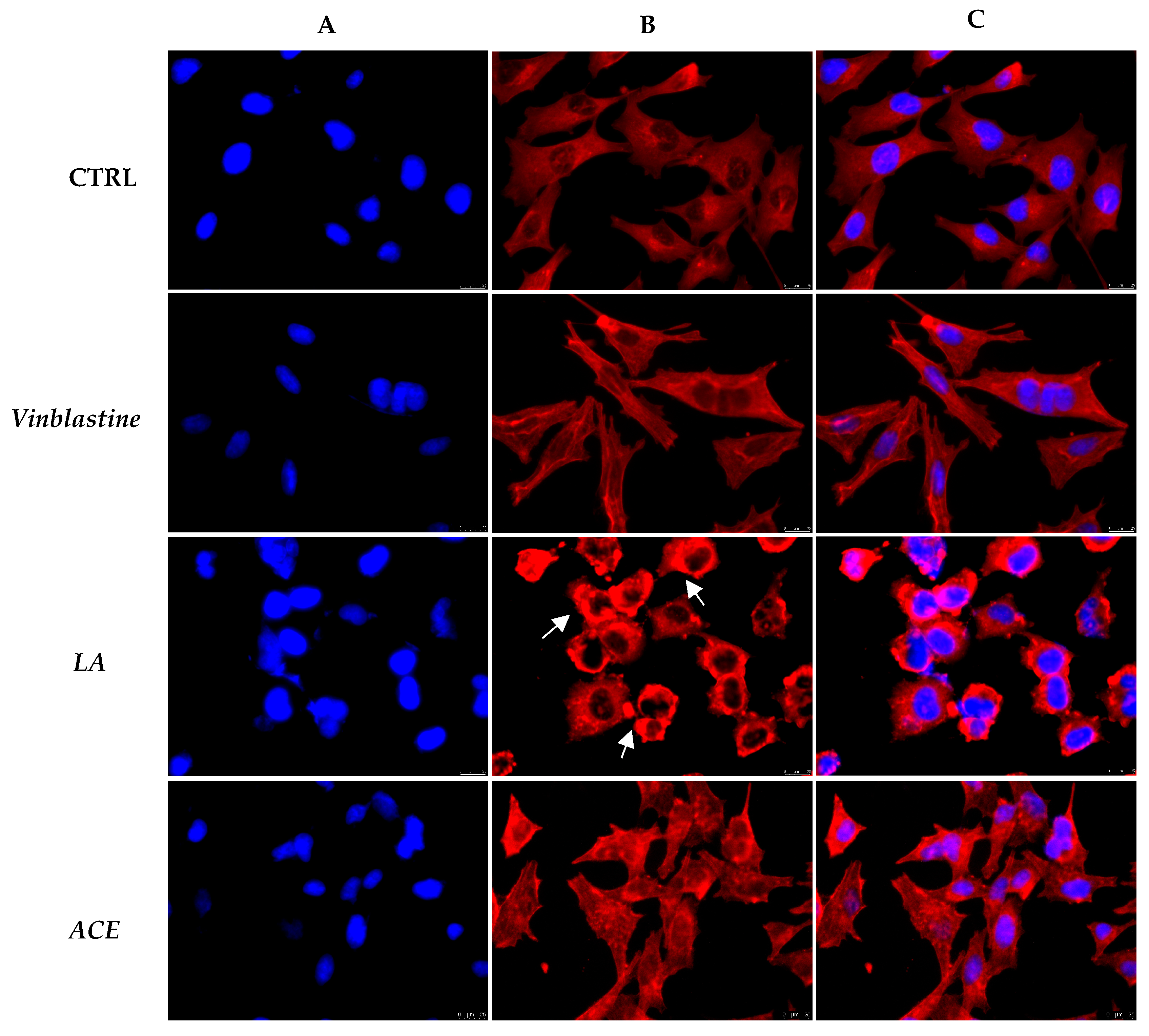 Foods 11 02420 g008 550
