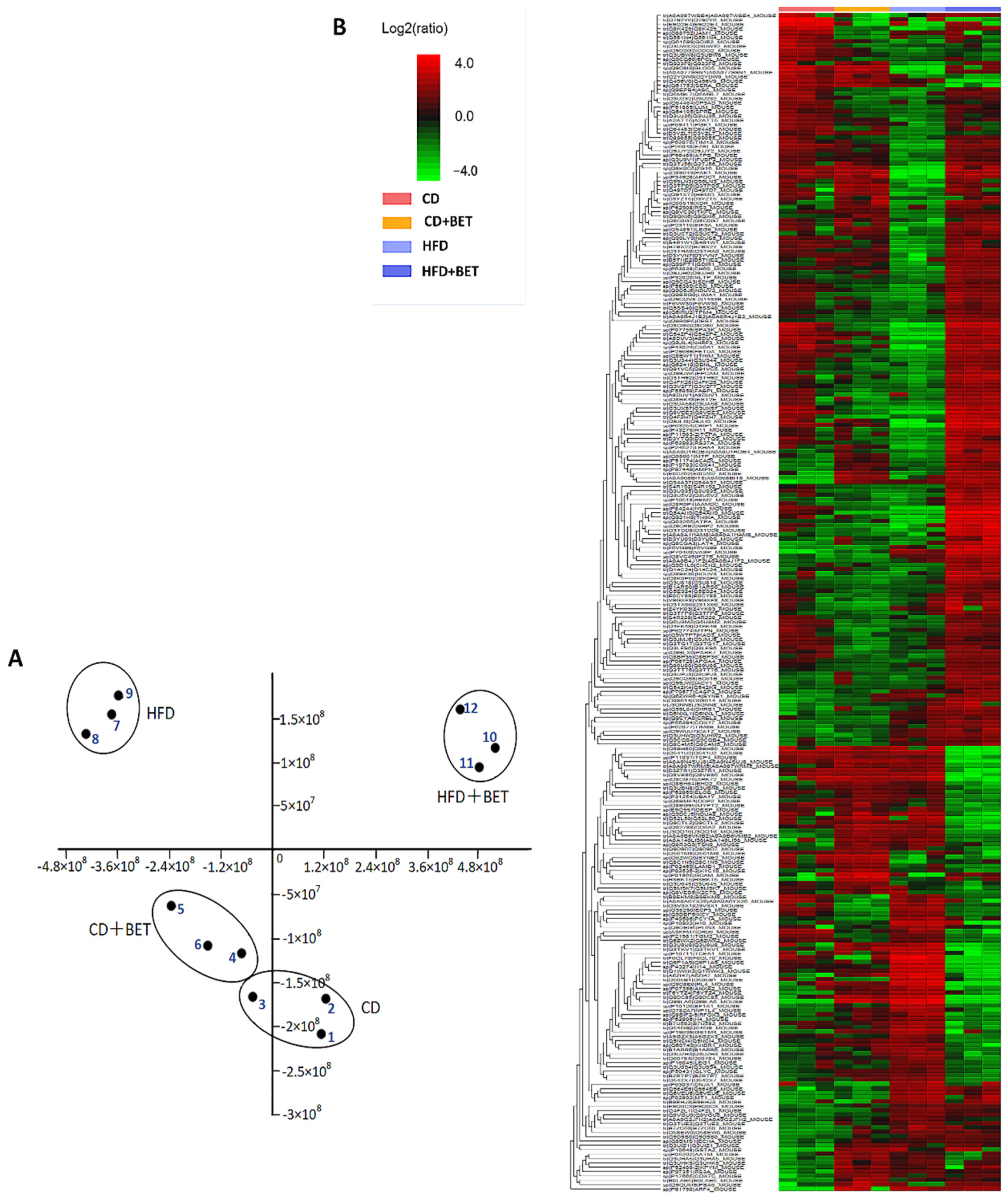 Betaine Reduces Lipid Anabolism and Promotes Lipid Transport