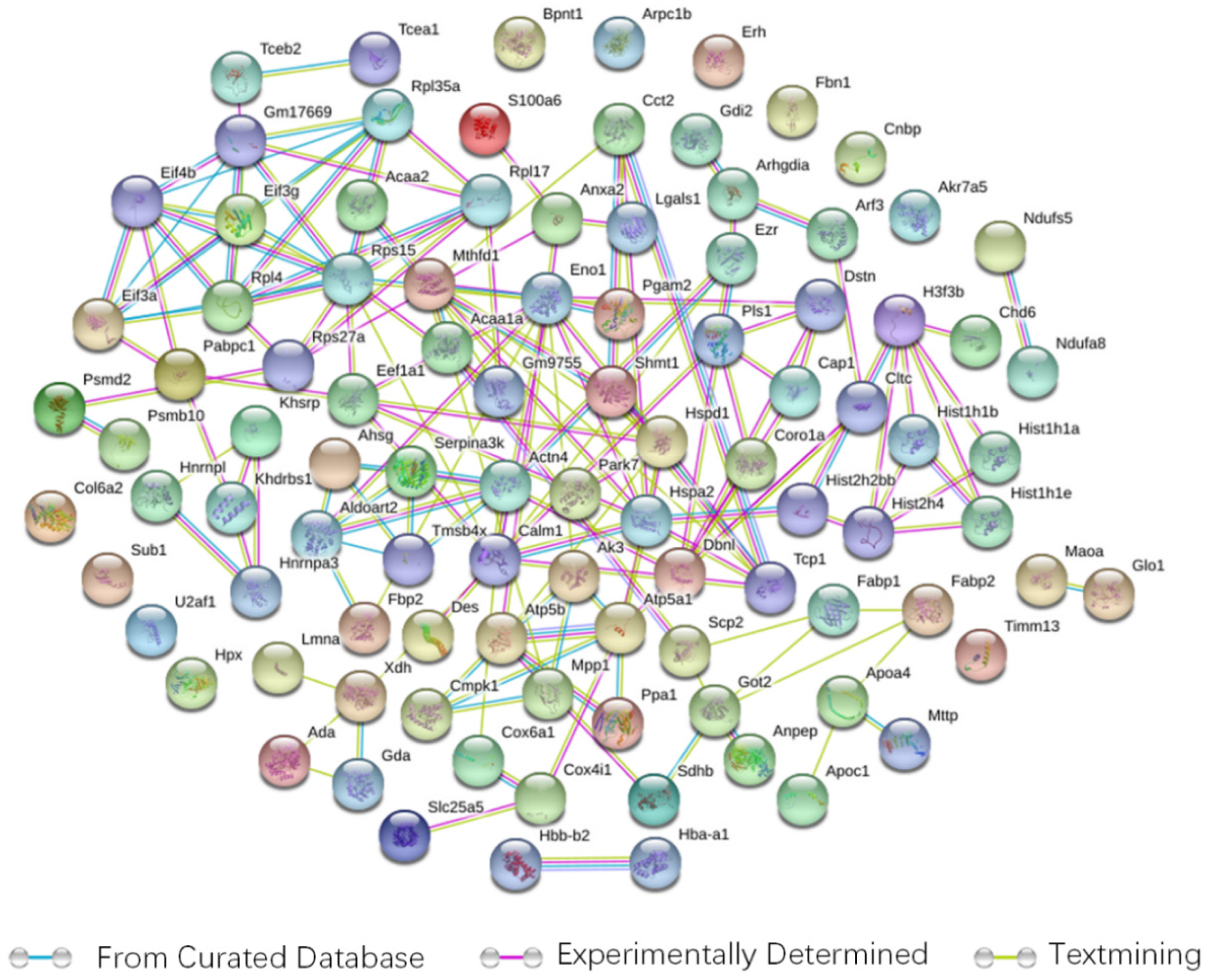 Foods 11 02421 g004 Foods 11 02421 g004