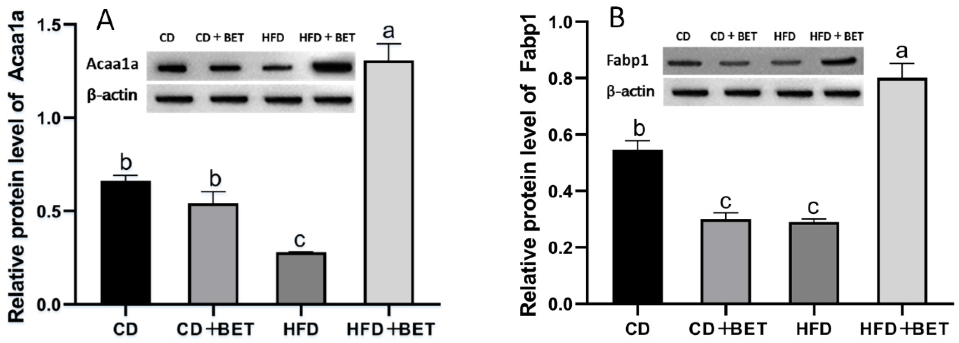 Foods 11 02421 g006 Foods 11 02421 g006