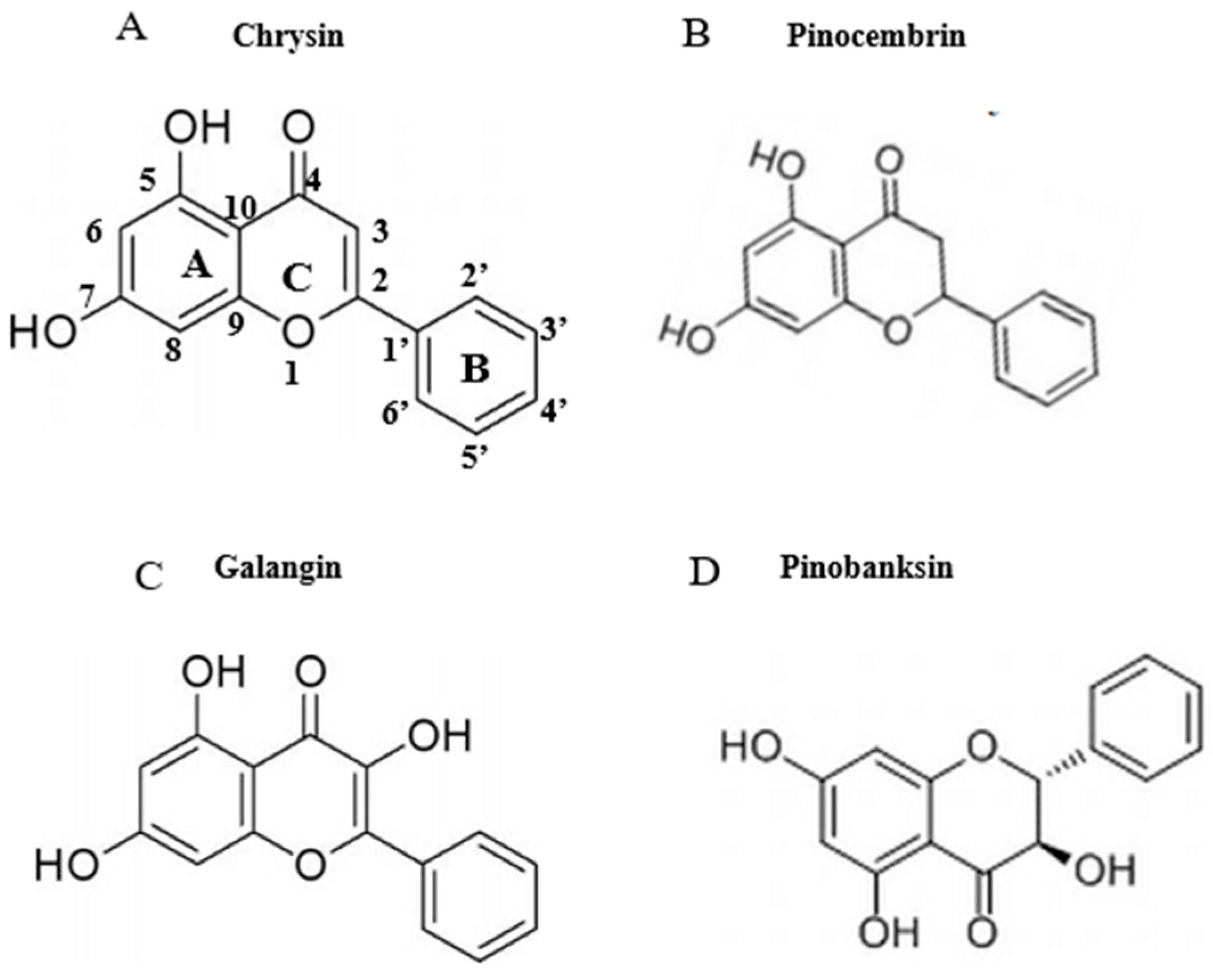 Foods 11 02439 g002 Foods 11 02439 g002