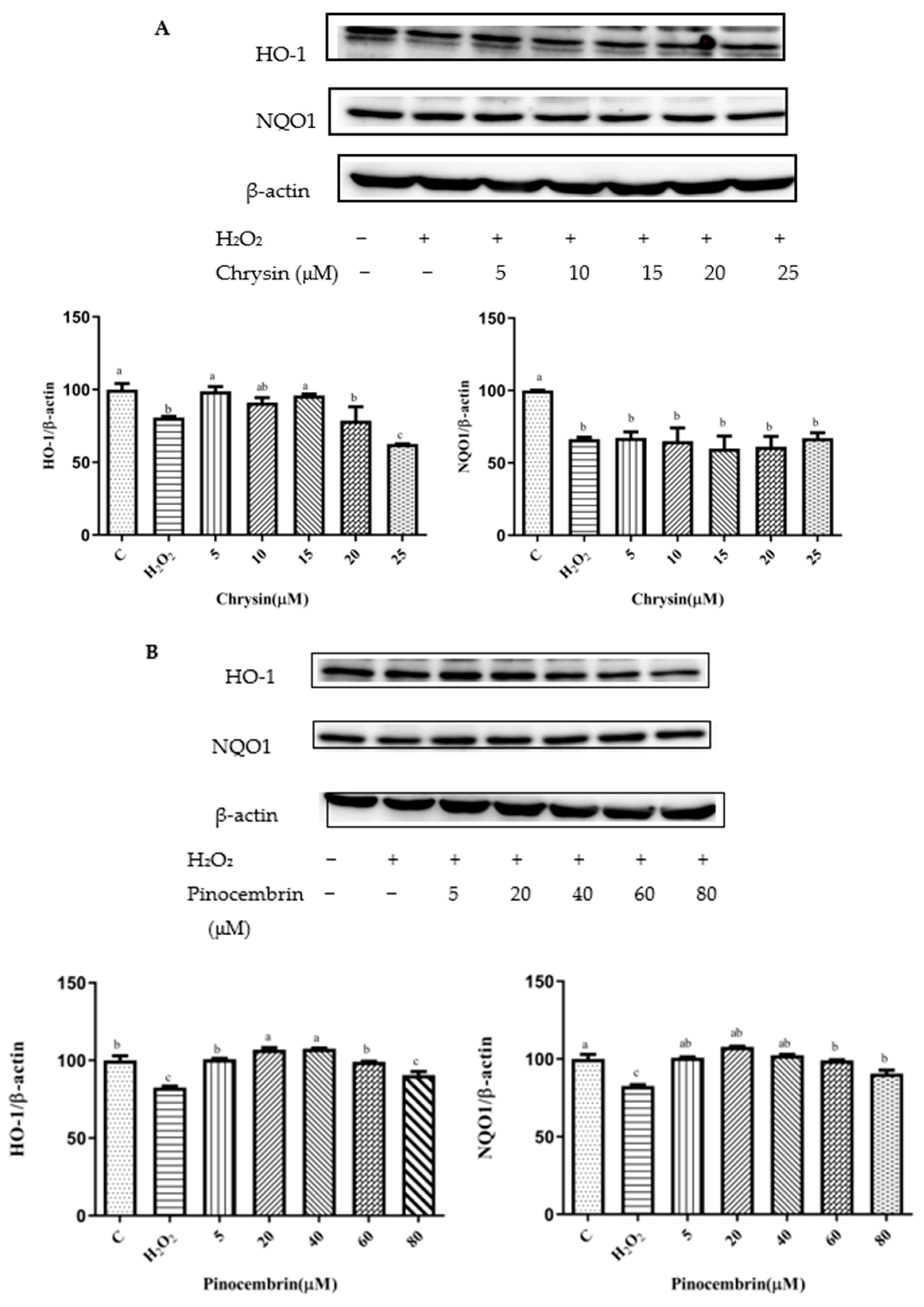 Foods 11 02439 g006a Foods 11 02439 g006a