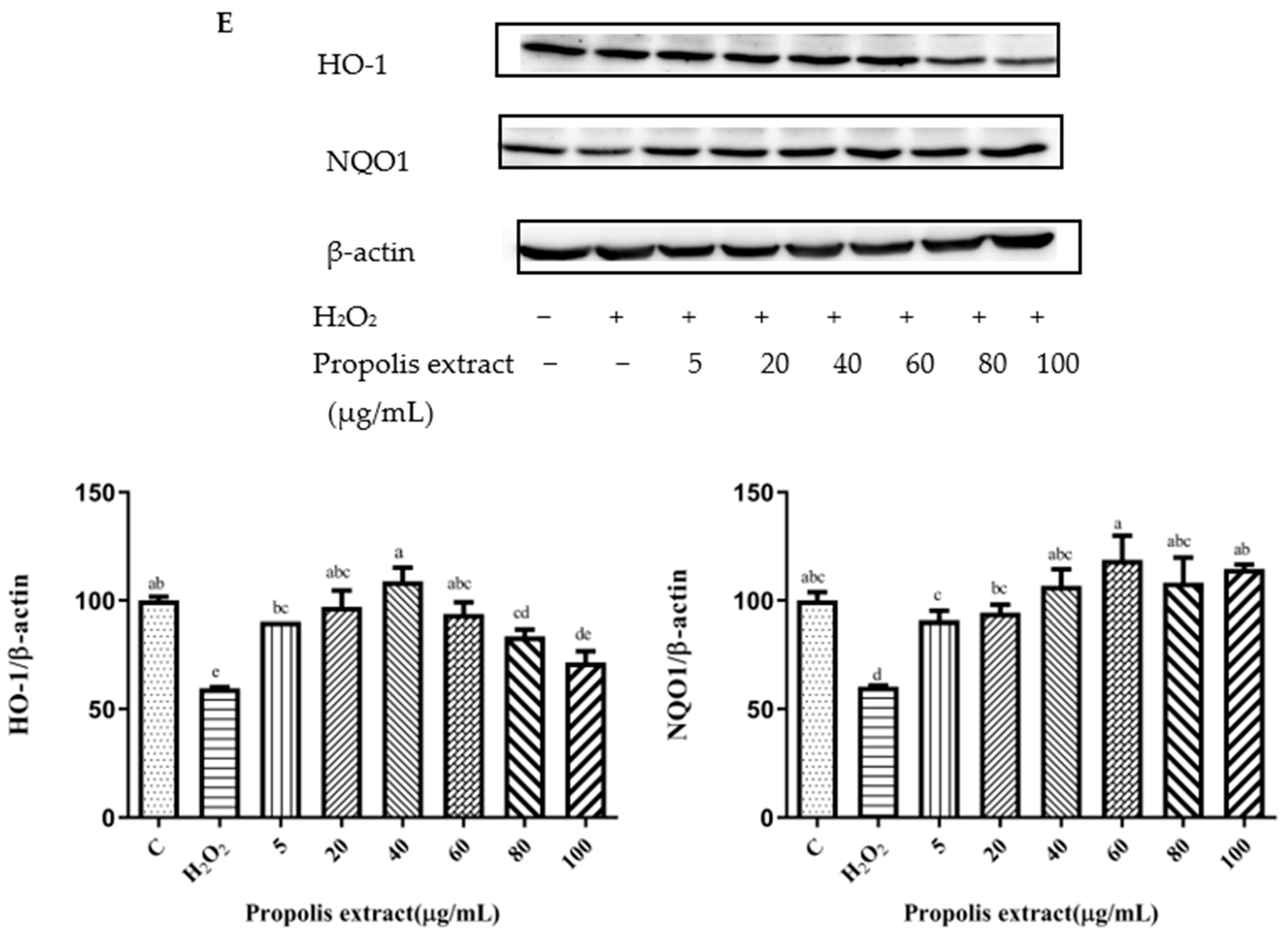 Foods 11 02439 g006c Foods 11 02439 g006c