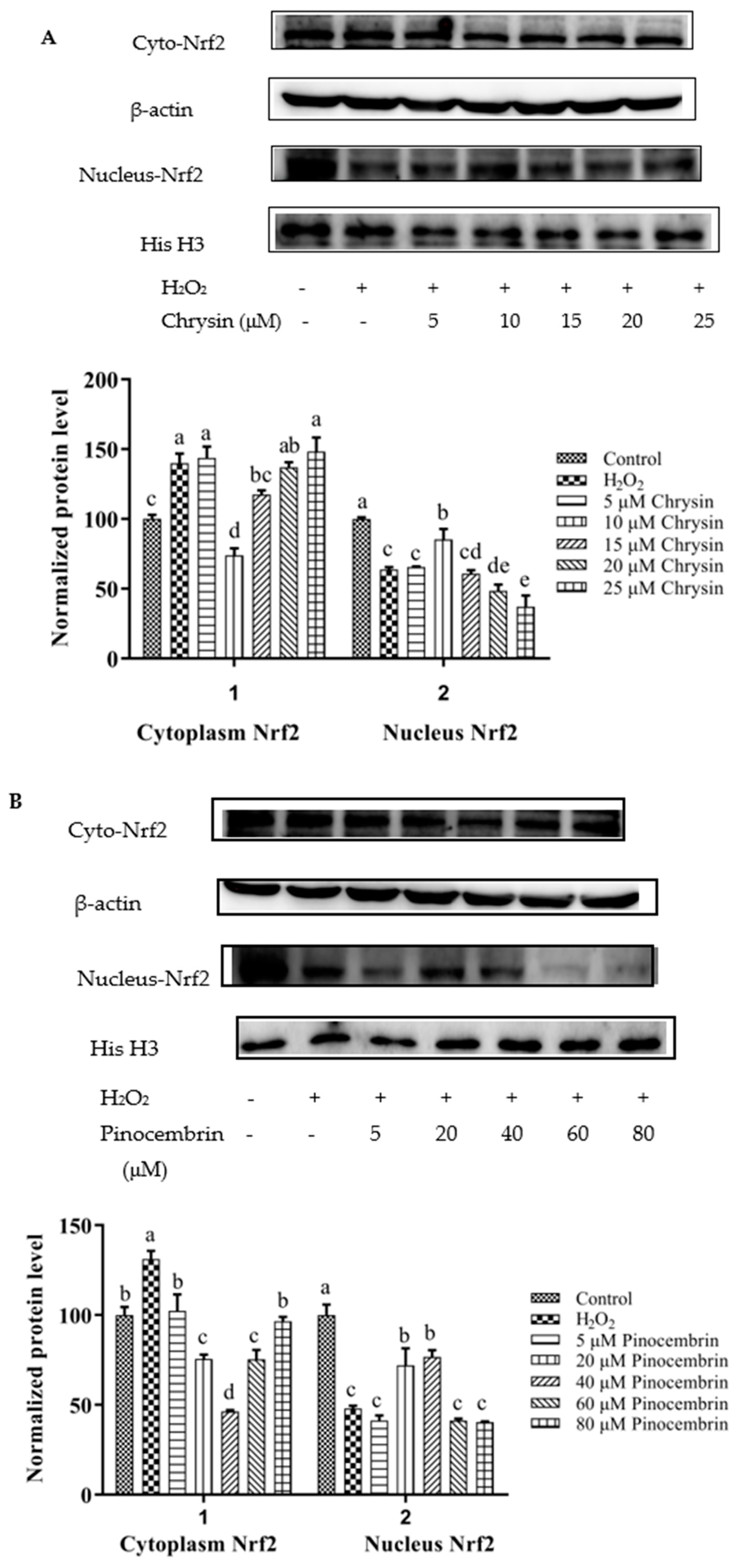Foods 11 02439 g007a Foods 11 02439 g007a