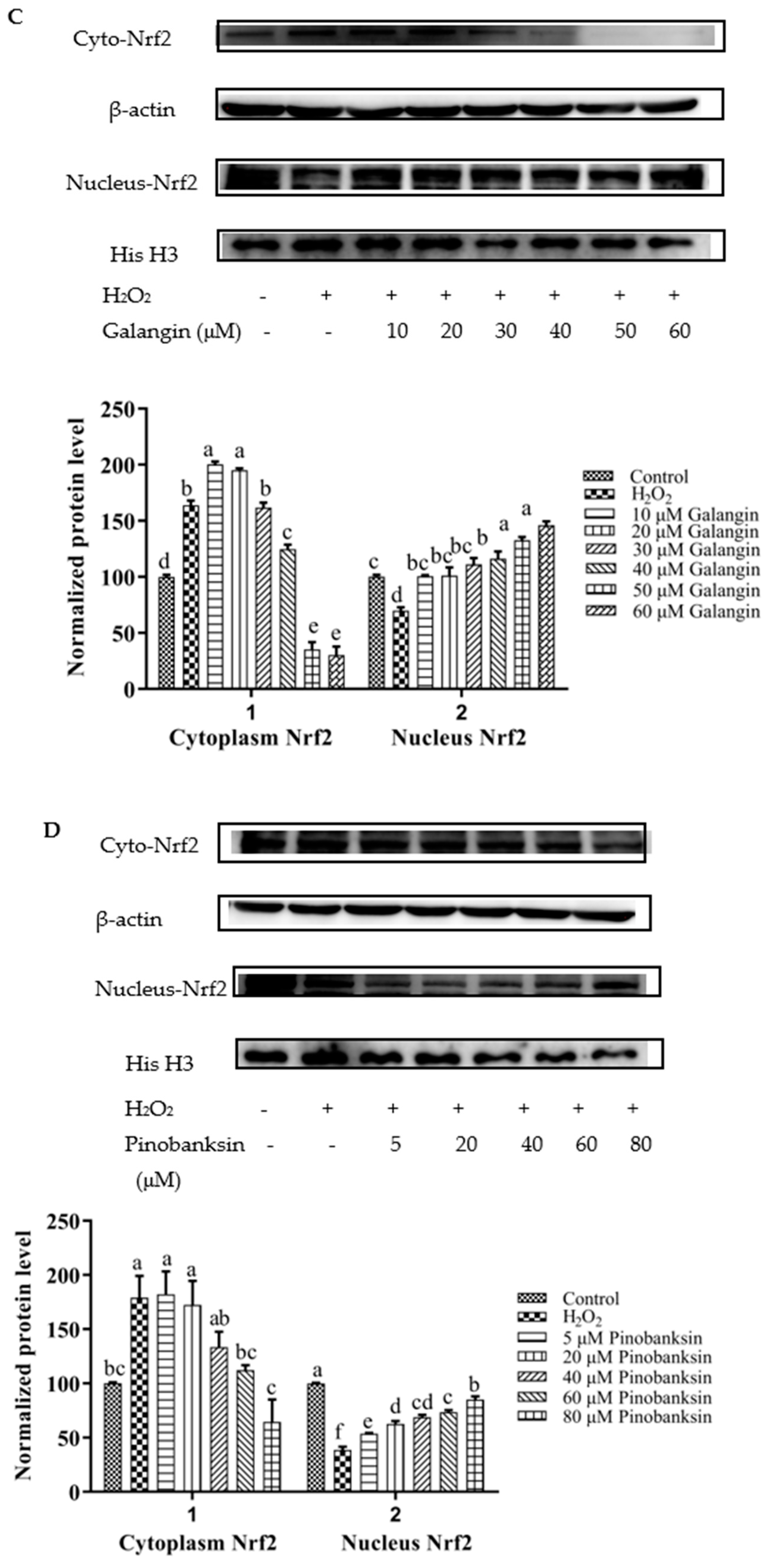 Foods 11 02439 g007b Foods 11 02439 g007b