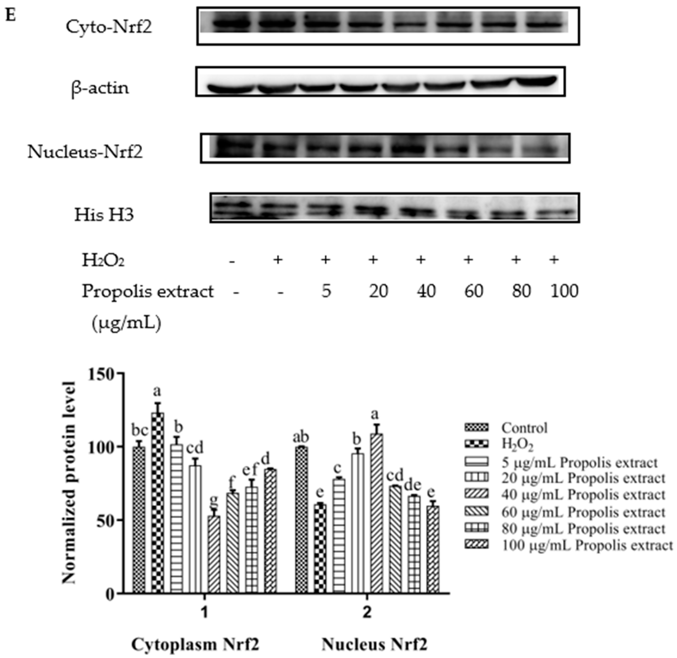 Foods 11 02439 g007c Foods 11 02439 g007c