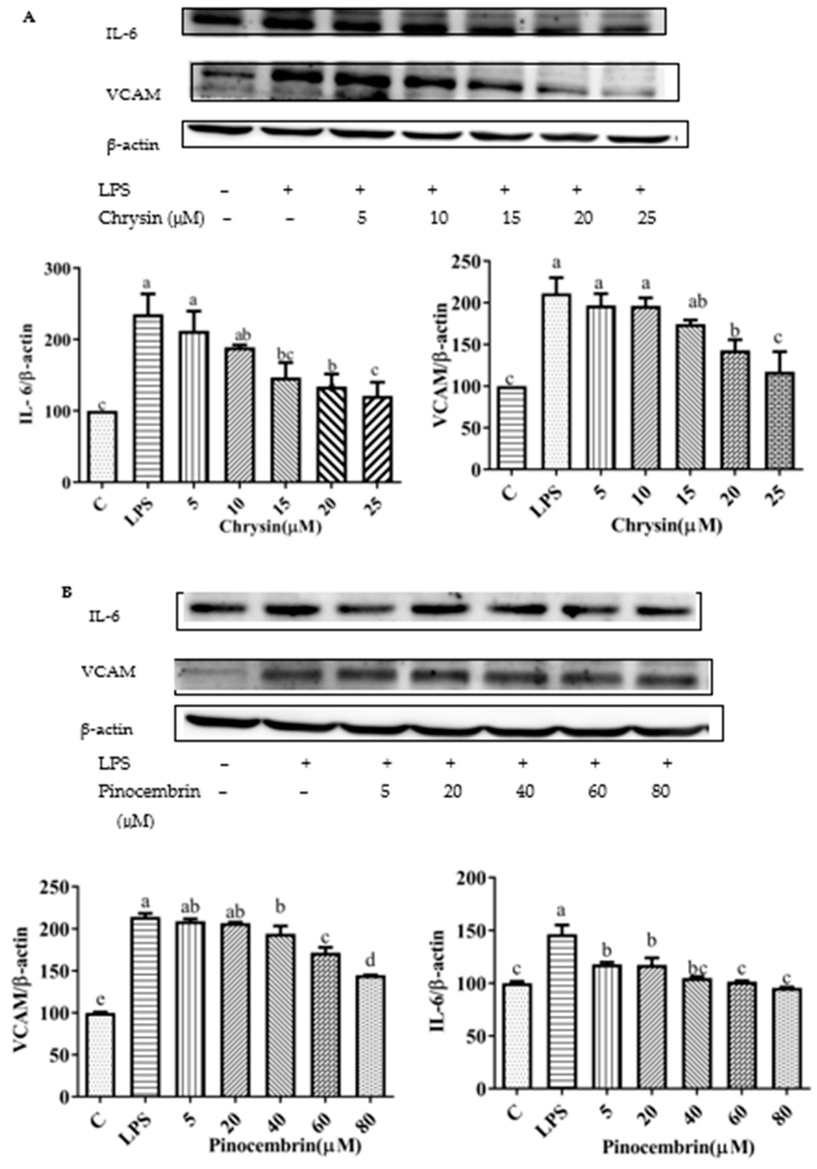 Foods 11 02439 g010a Foods 11 02439 g010a