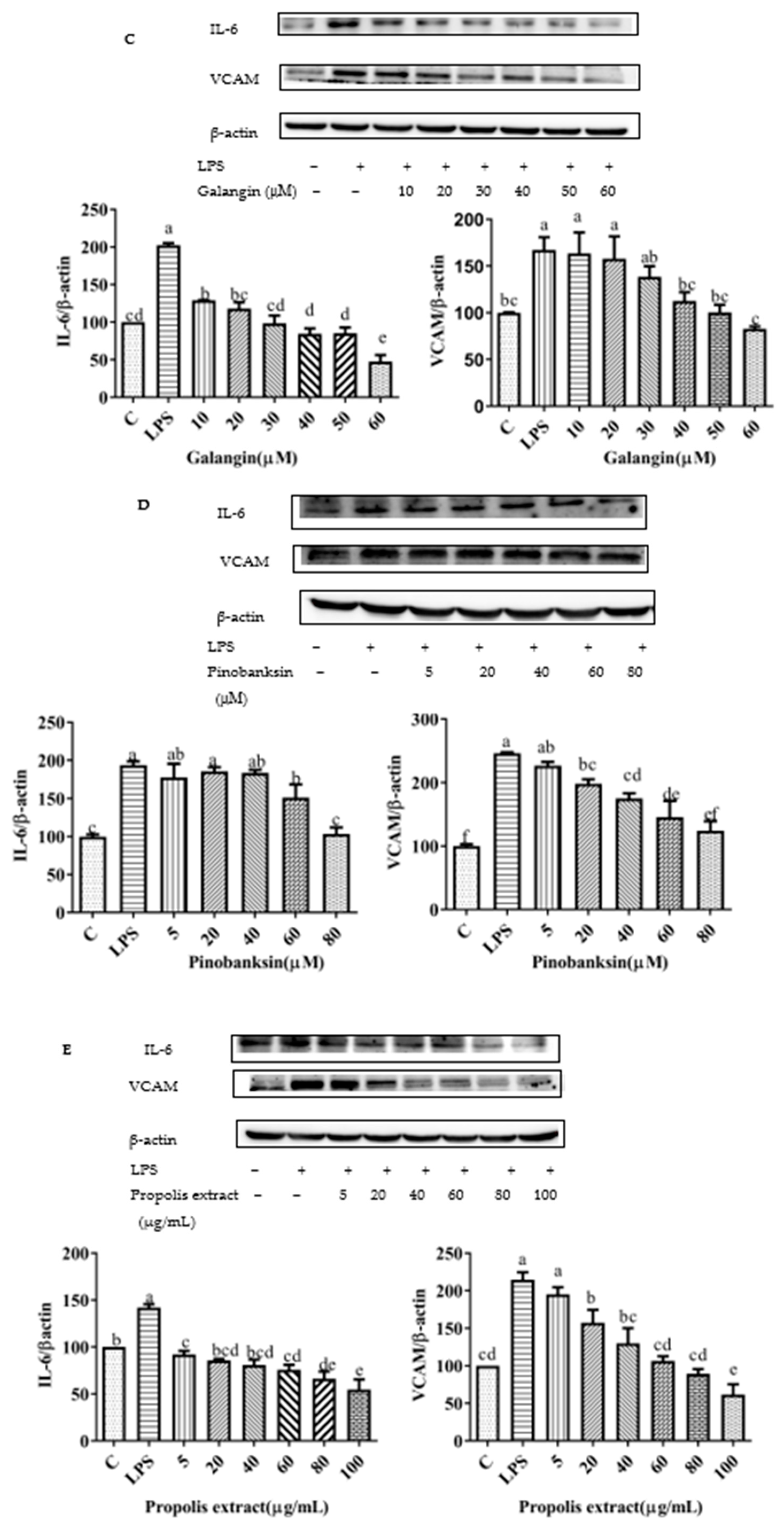 Foods 11 02439 g010b Foods 11 02439 g010b