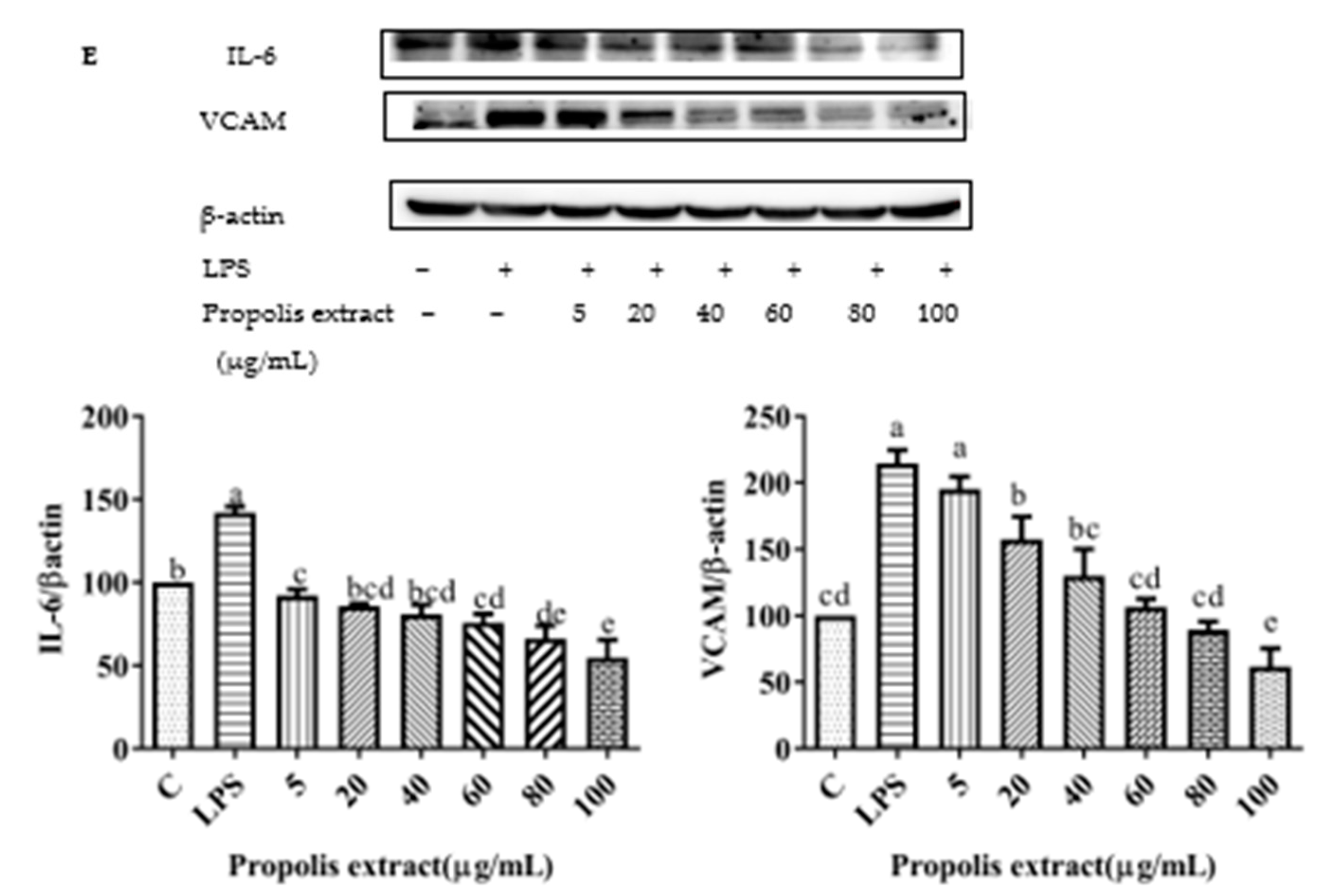 Foods 11 02439 g010c Foods 11 02439 g010c