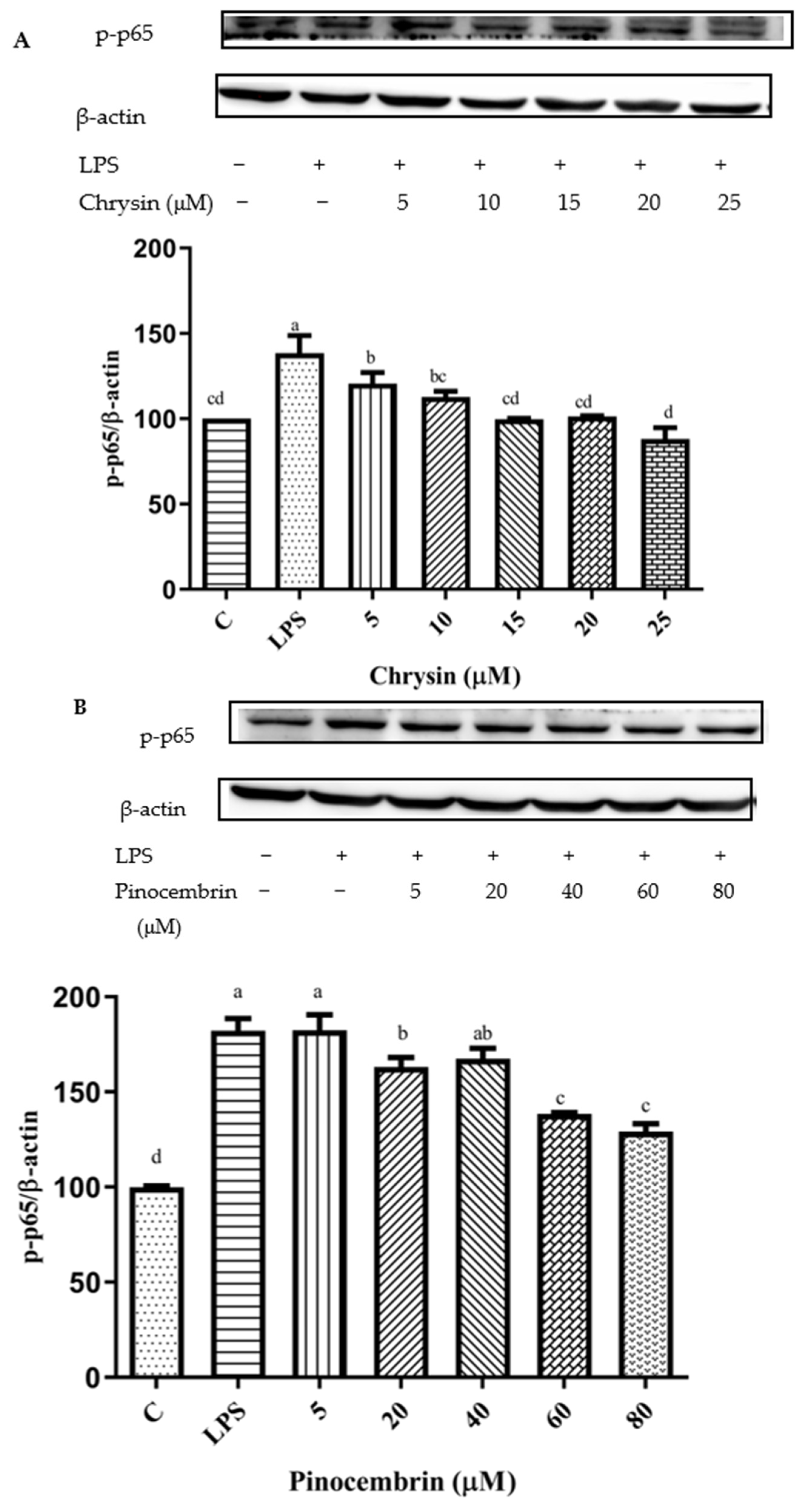 Foods 11 02439 g011a Foods 11 02439 g011a