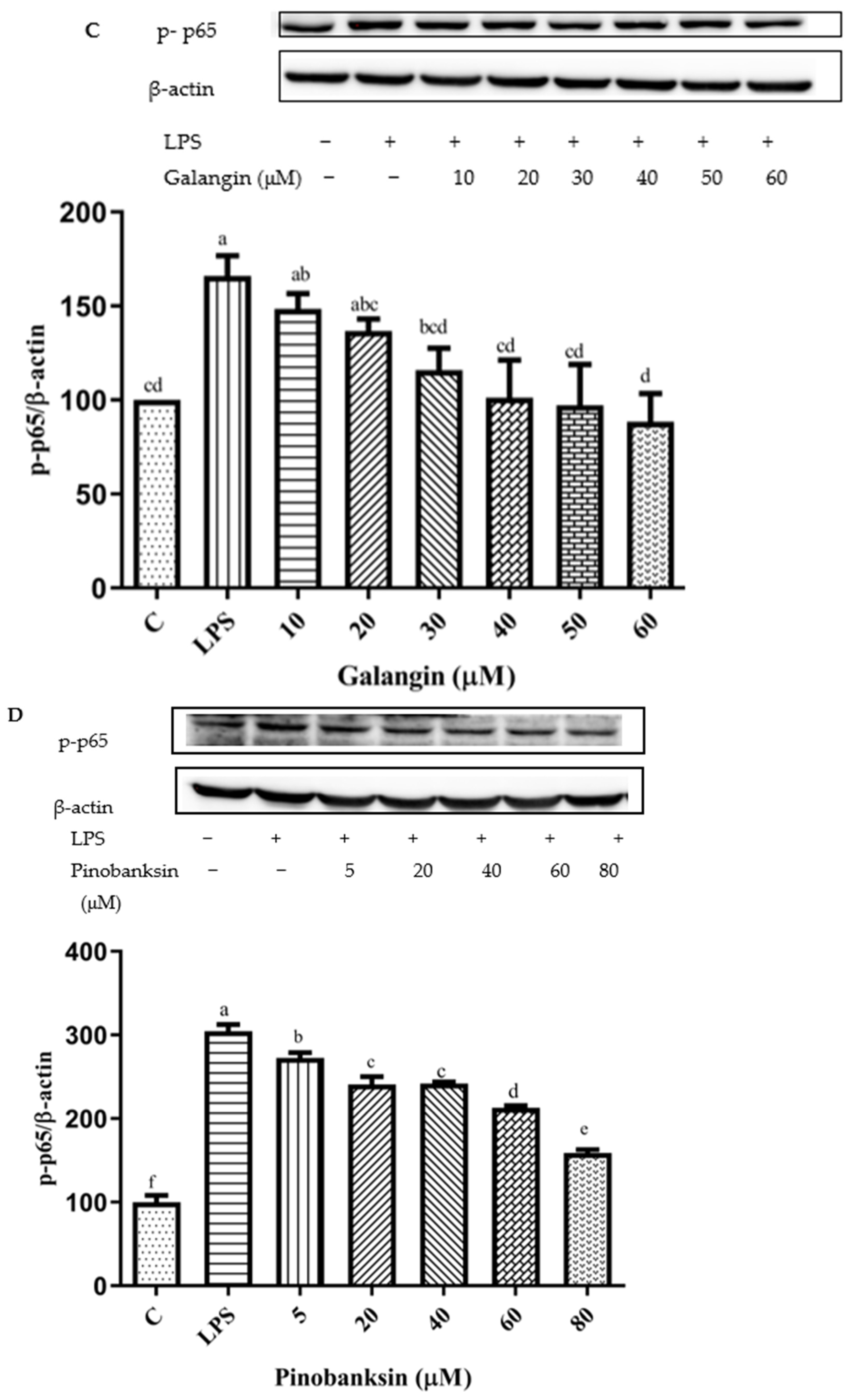 Foods 11 02439 g011b Foods 11 02439 g011b