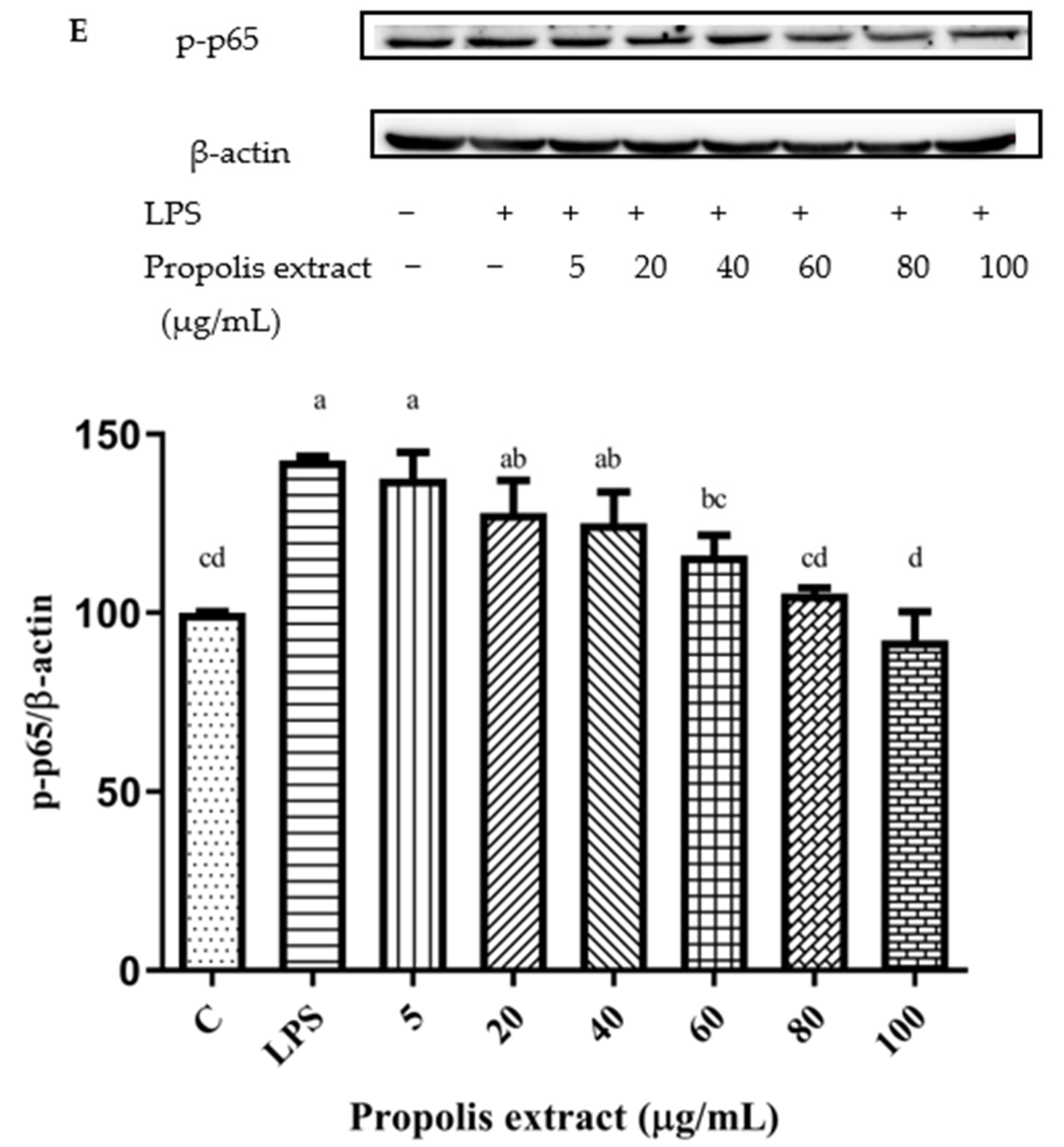 Foods 11 02439 g011c Foods 11 02439 g011c