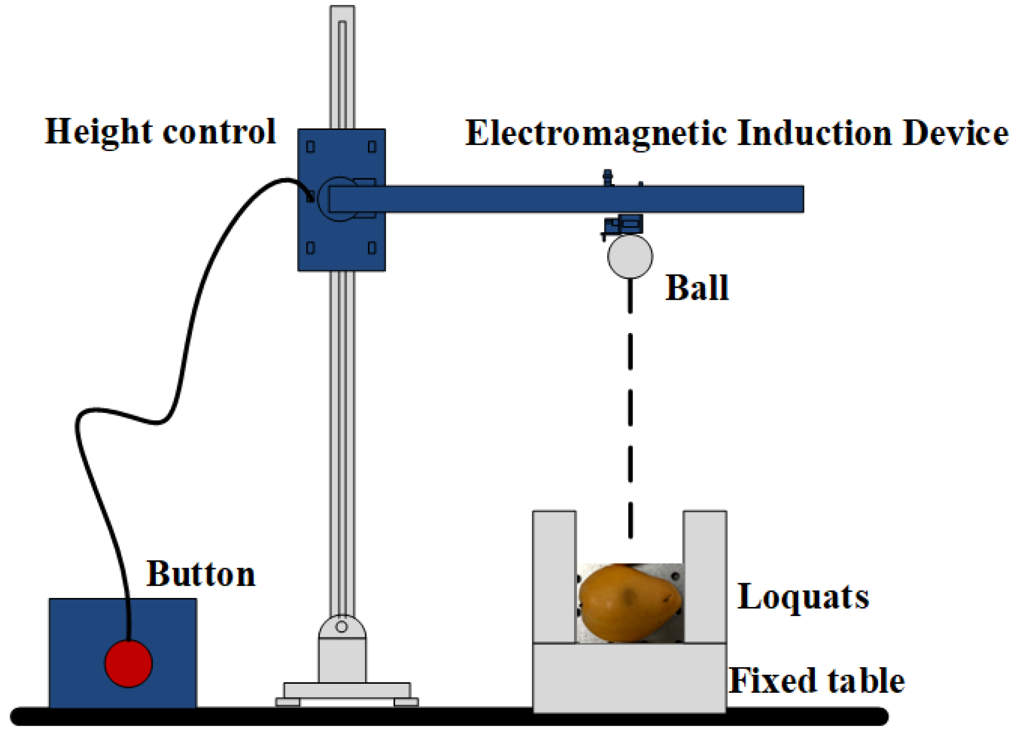 Foods 11 02444 g001 550