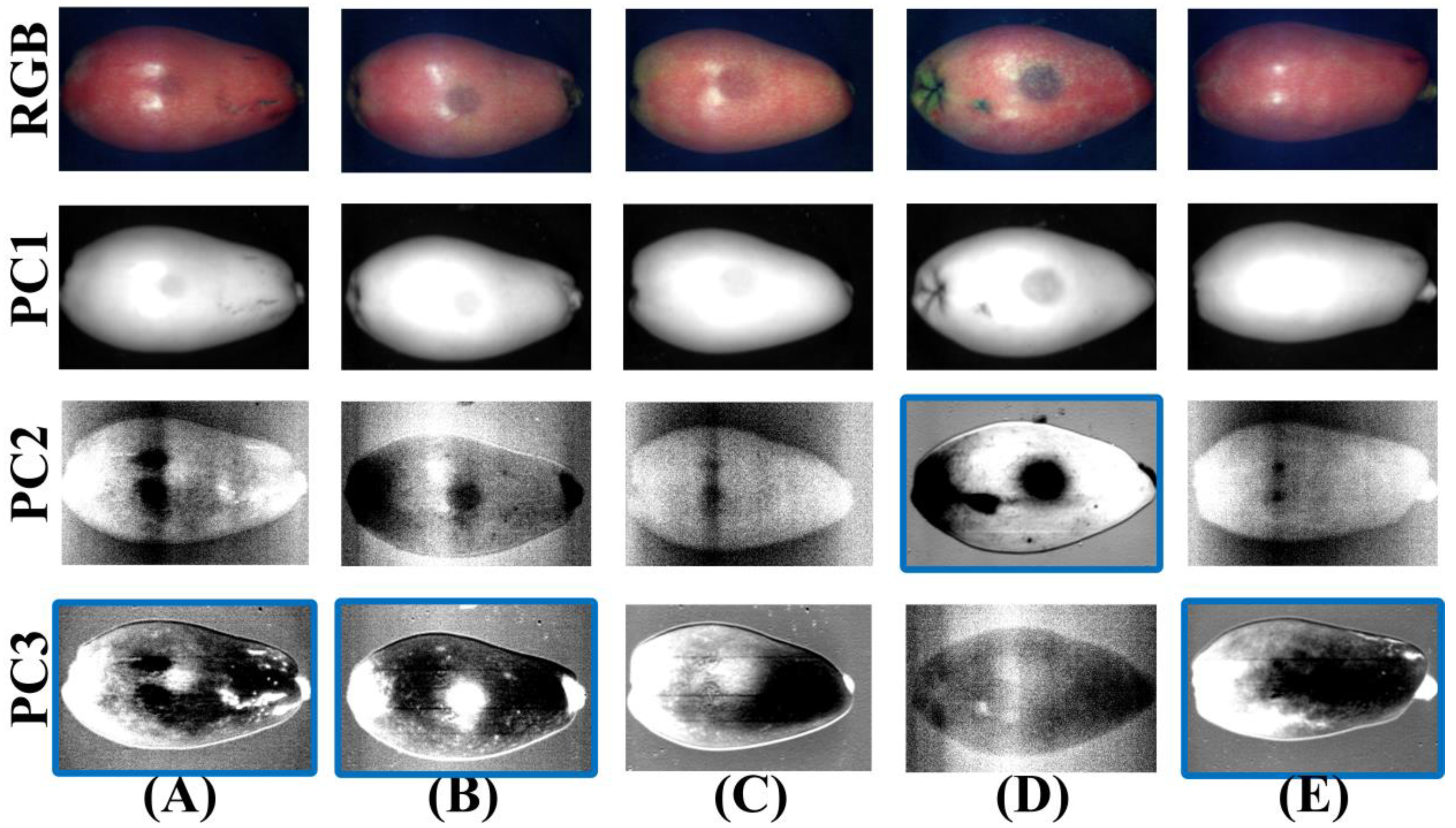 Foods 11 02444 g007 550