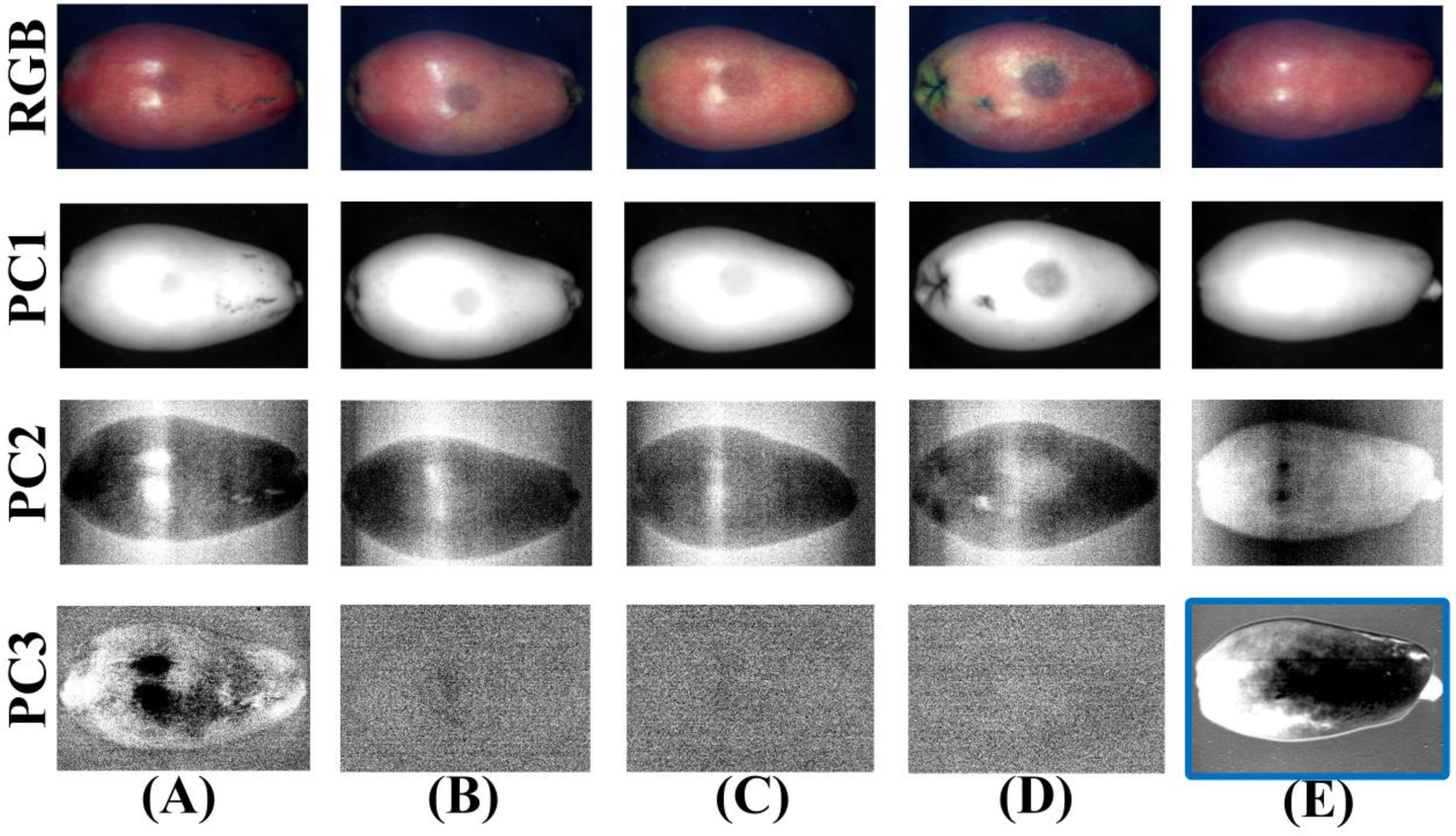 Foods 11 02444 g008 550