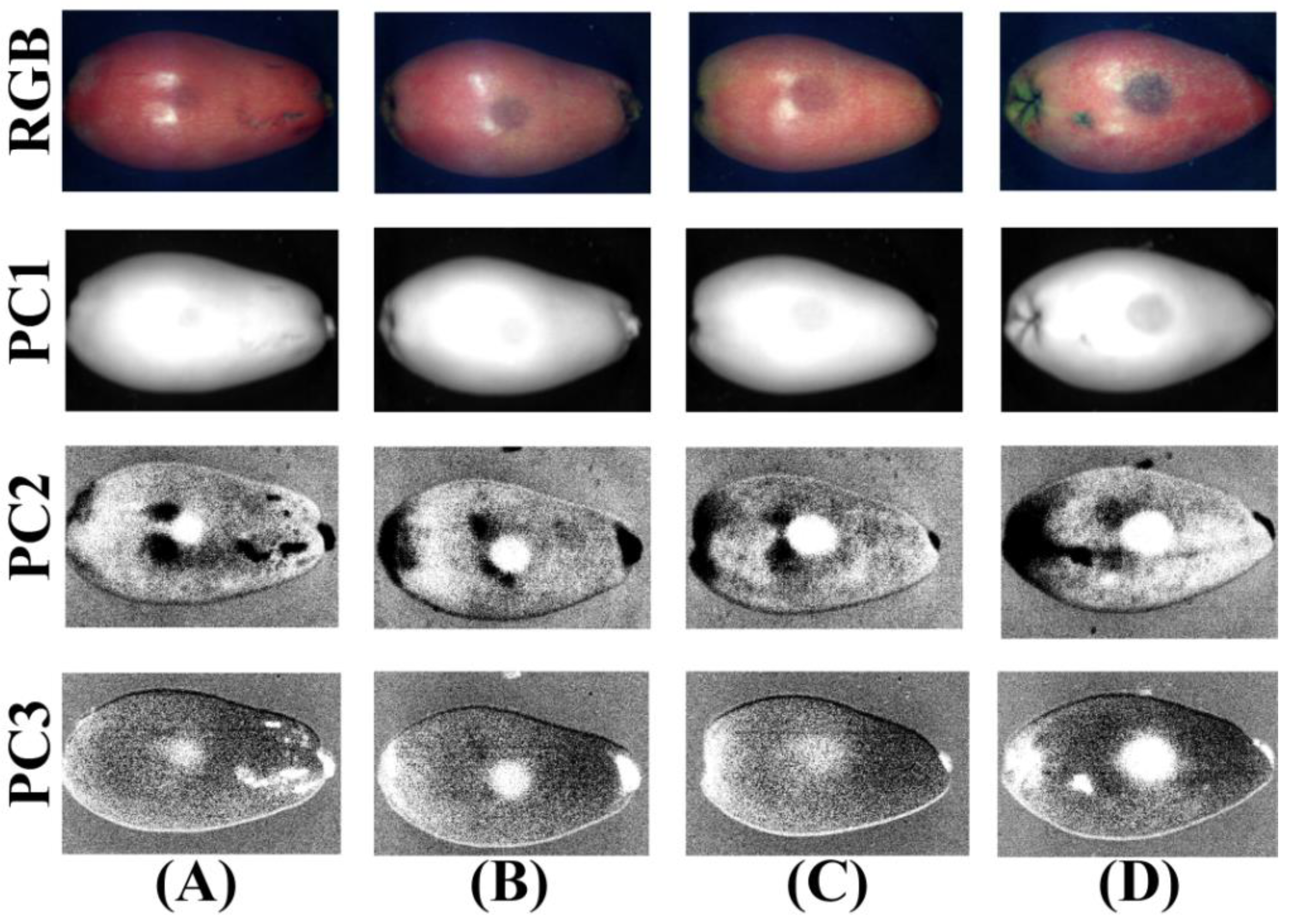 Foods 11 02444 g012 550
