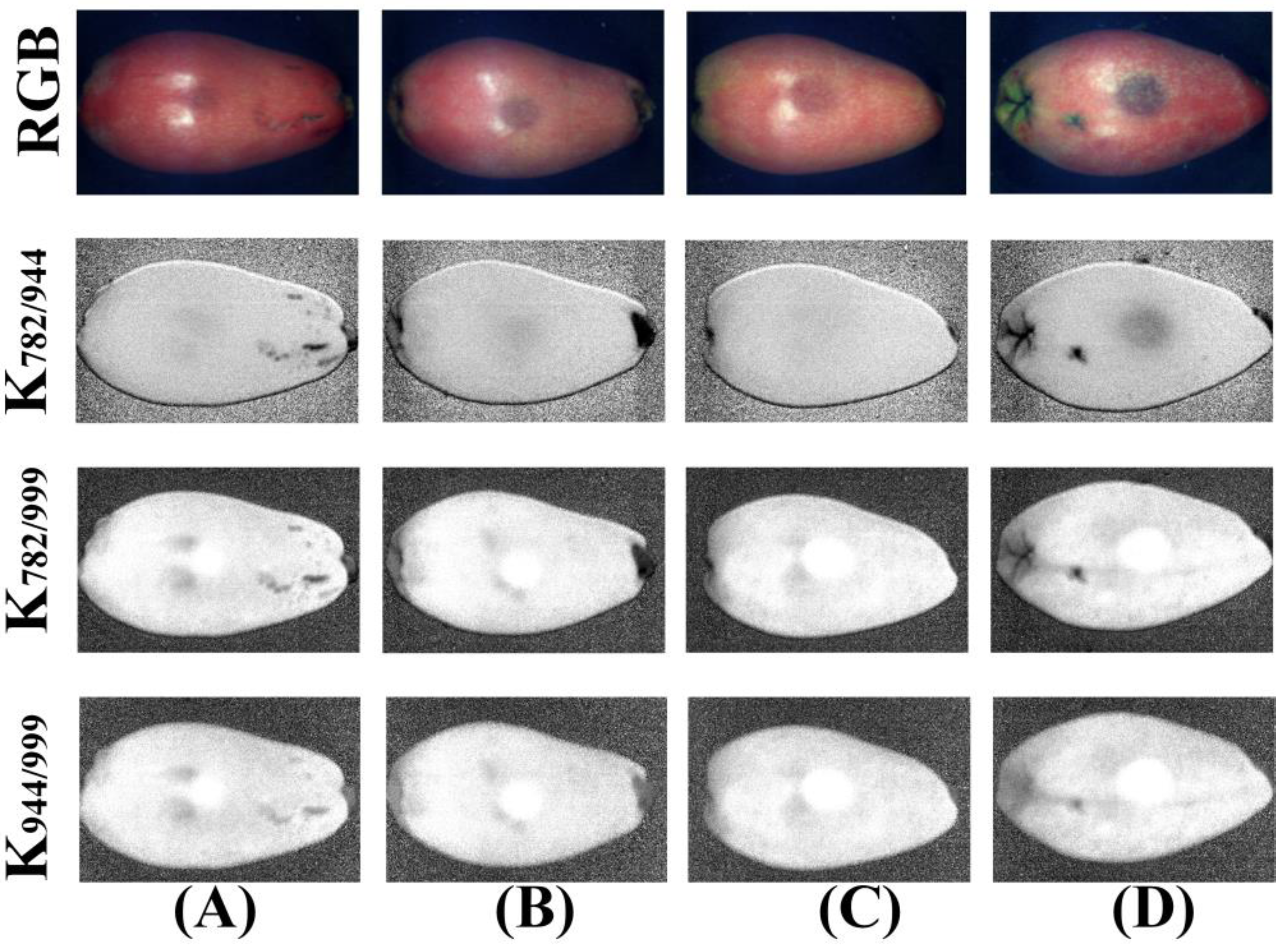 Foods 11 02444 g013 550
