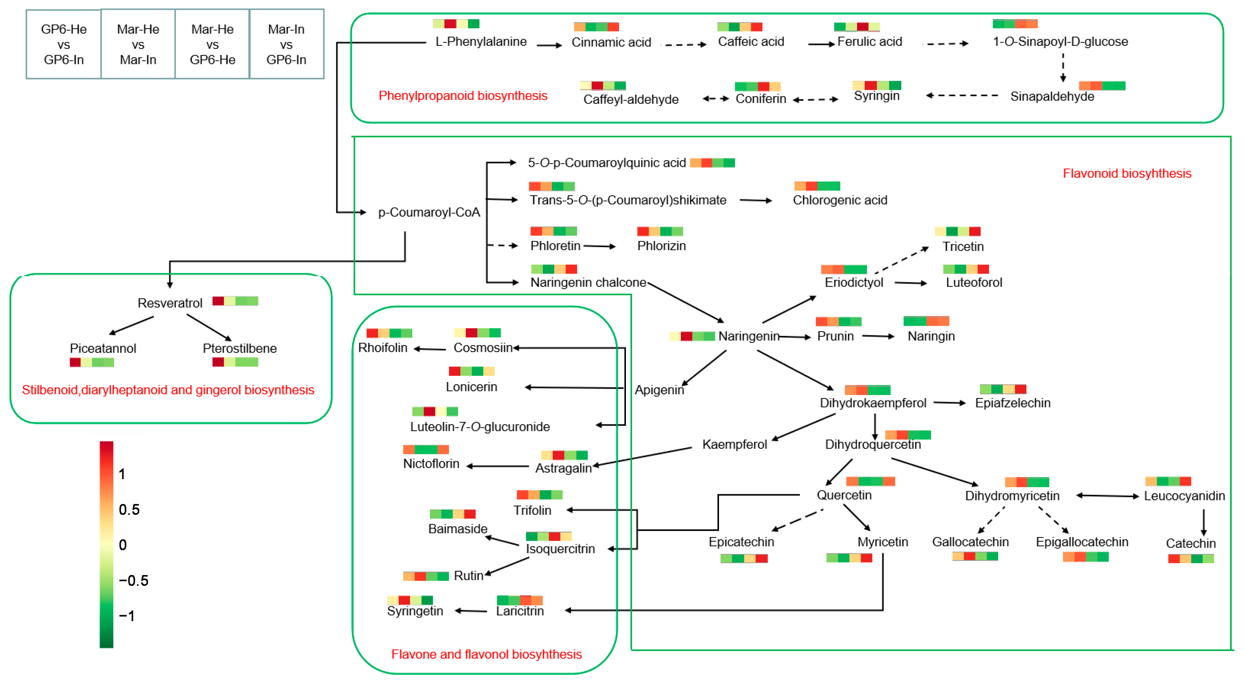 Foods 11 02461 g006 550