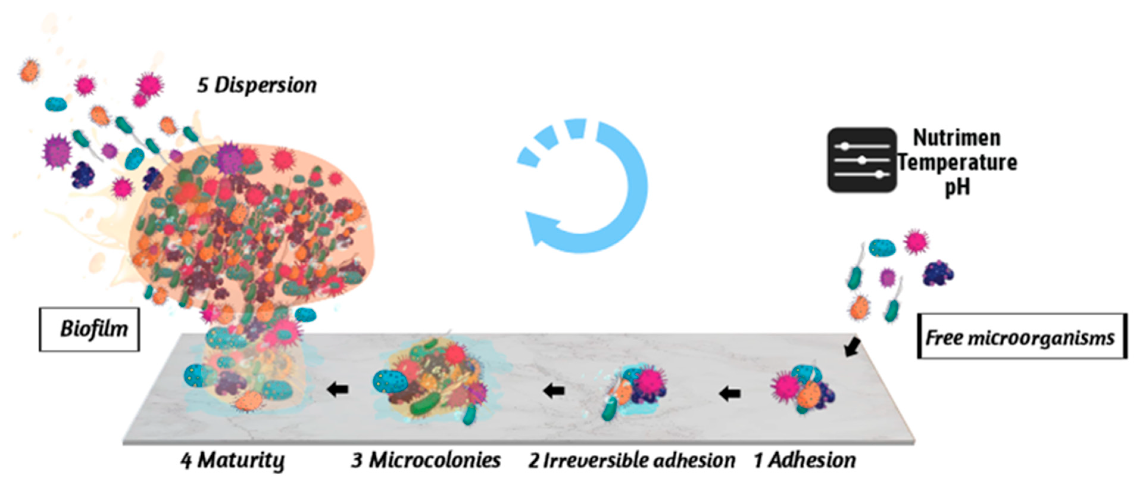 Foods 11 02469 g001 550