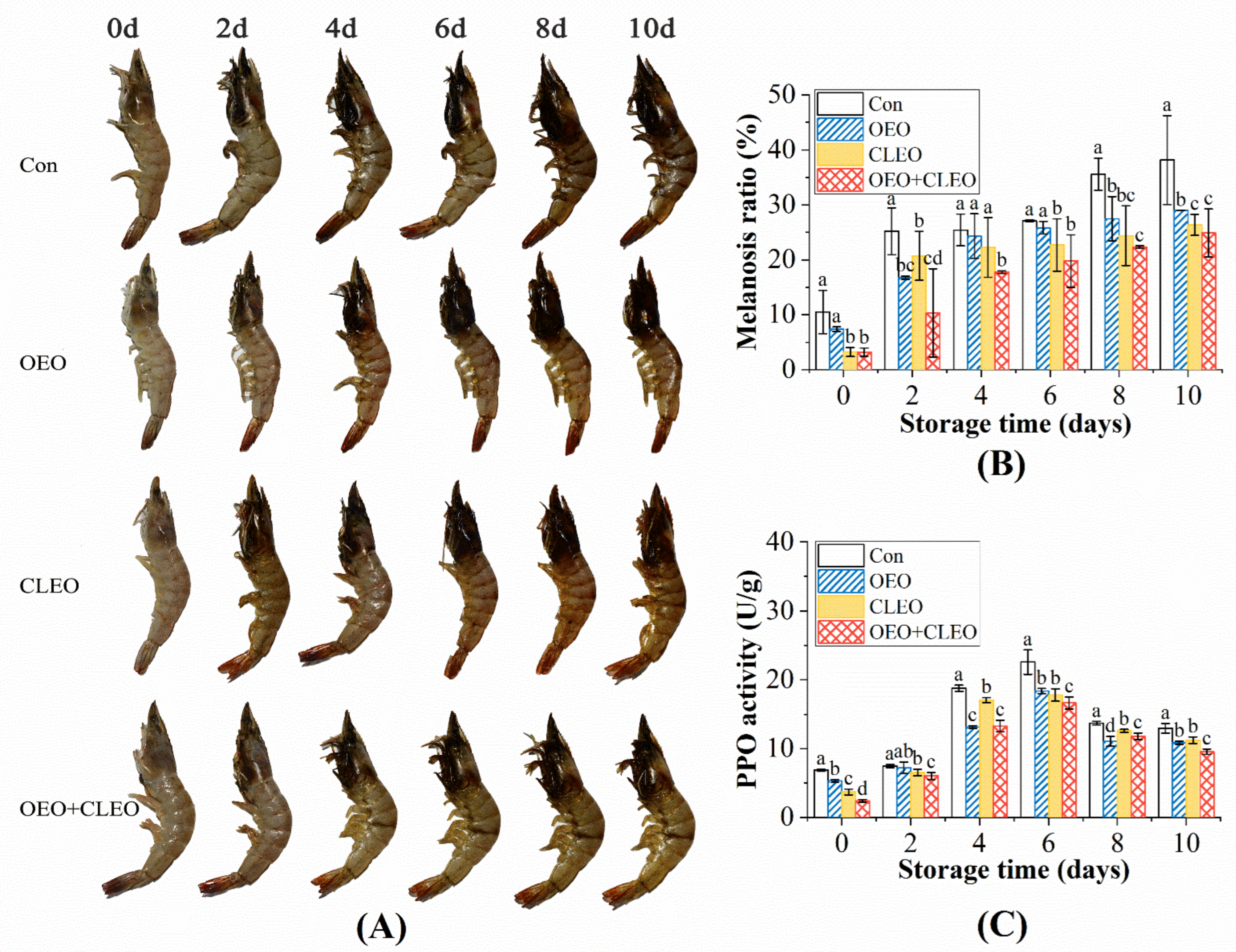 Foods 11 02475 g004 550