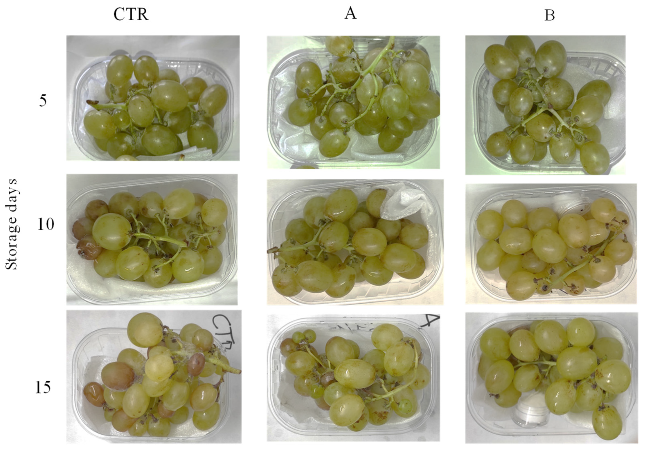 Foods 11 02478 g003 550