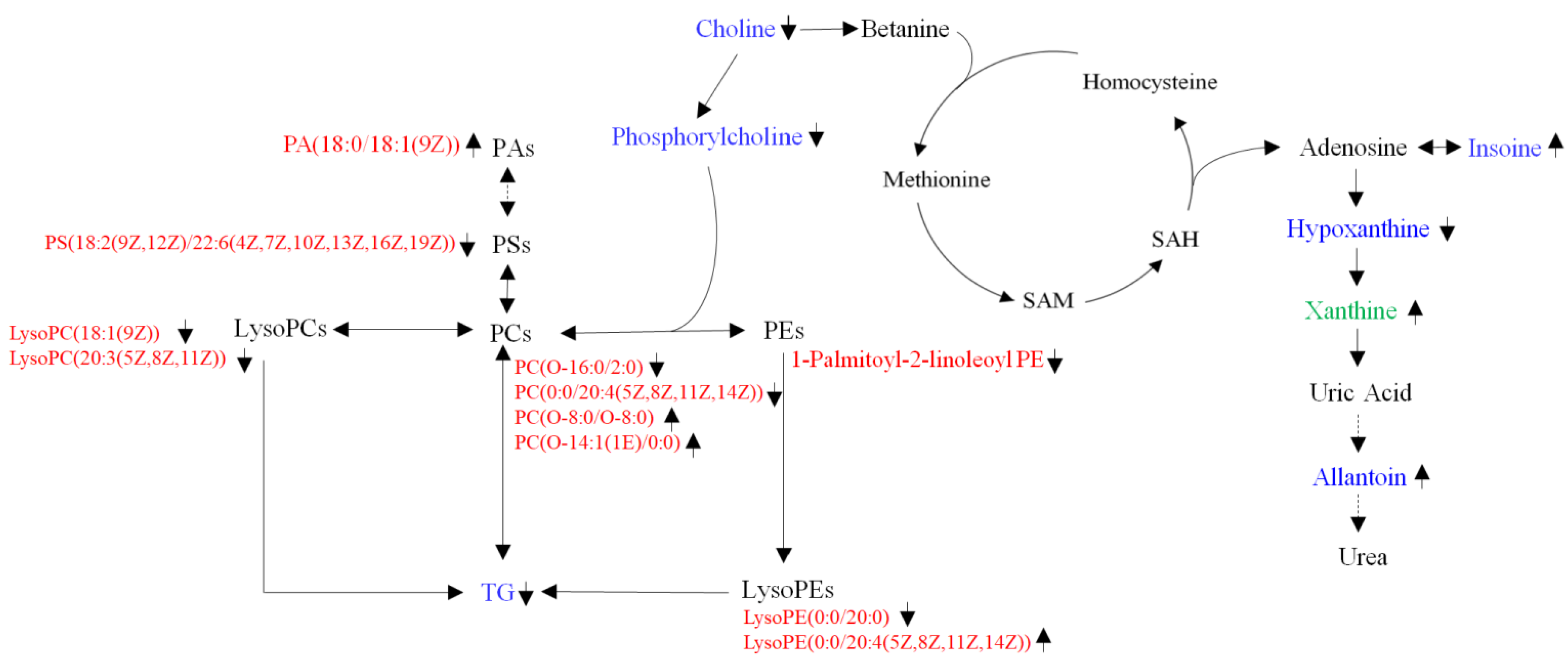 Foods 11 02491 g003 550
