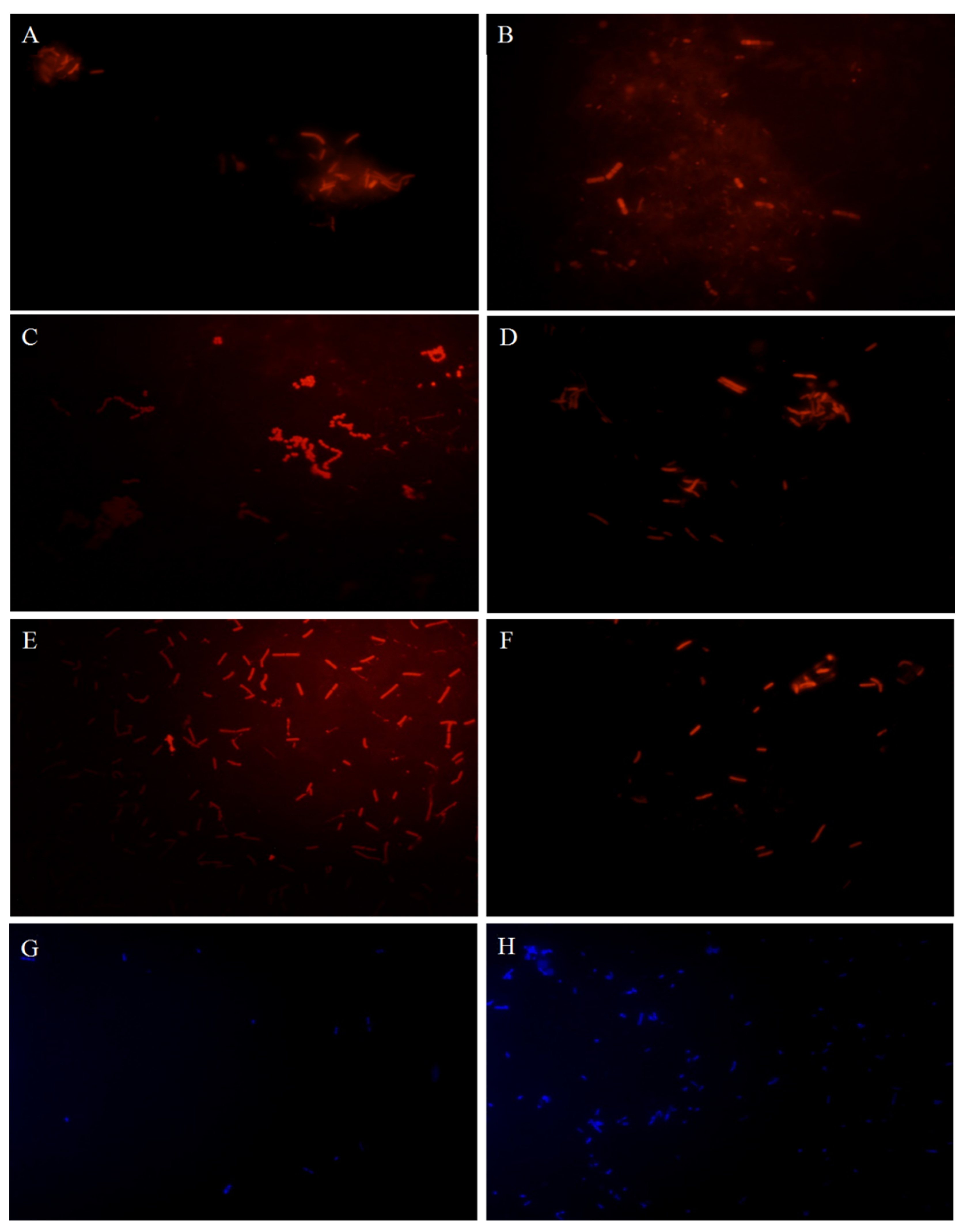 Foods 11 02501 g002 550