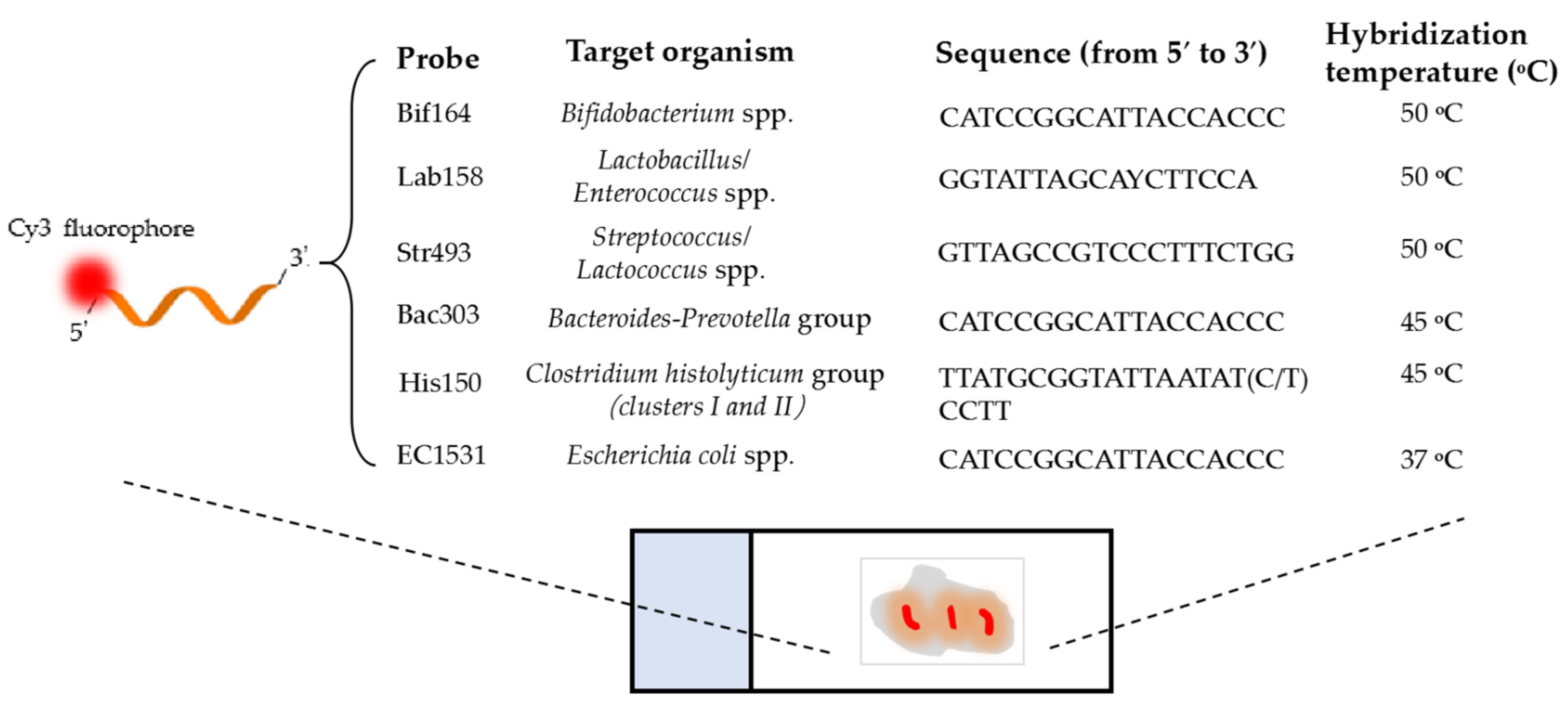 Foods 11 02501 sch001 550