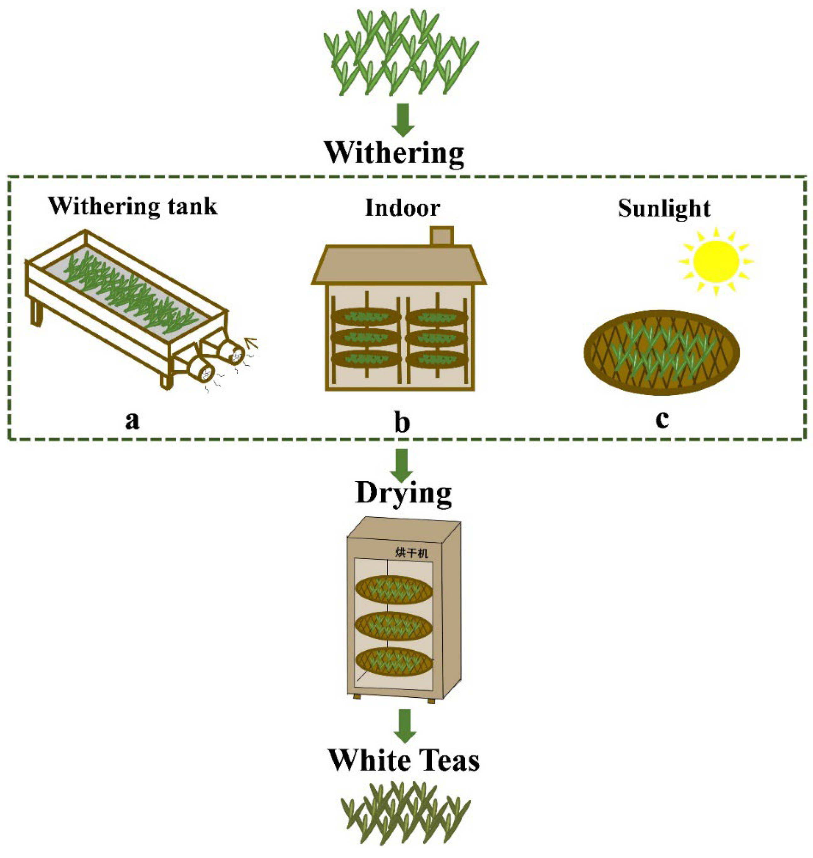 Foods 11 02502 g001 550