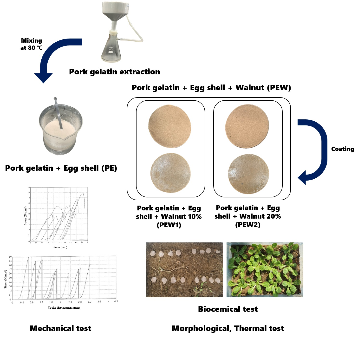 Foods Free FullText Utilization of ByProducts from Livestock